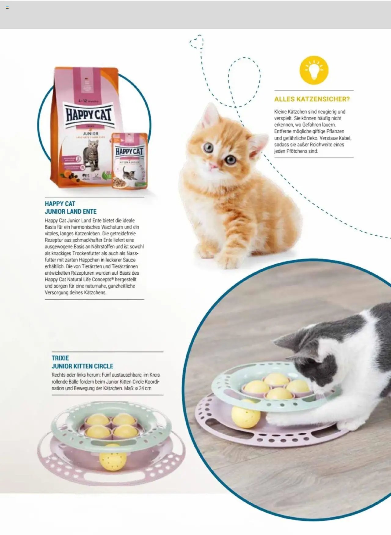 zookauf Themenkatalog Katze
