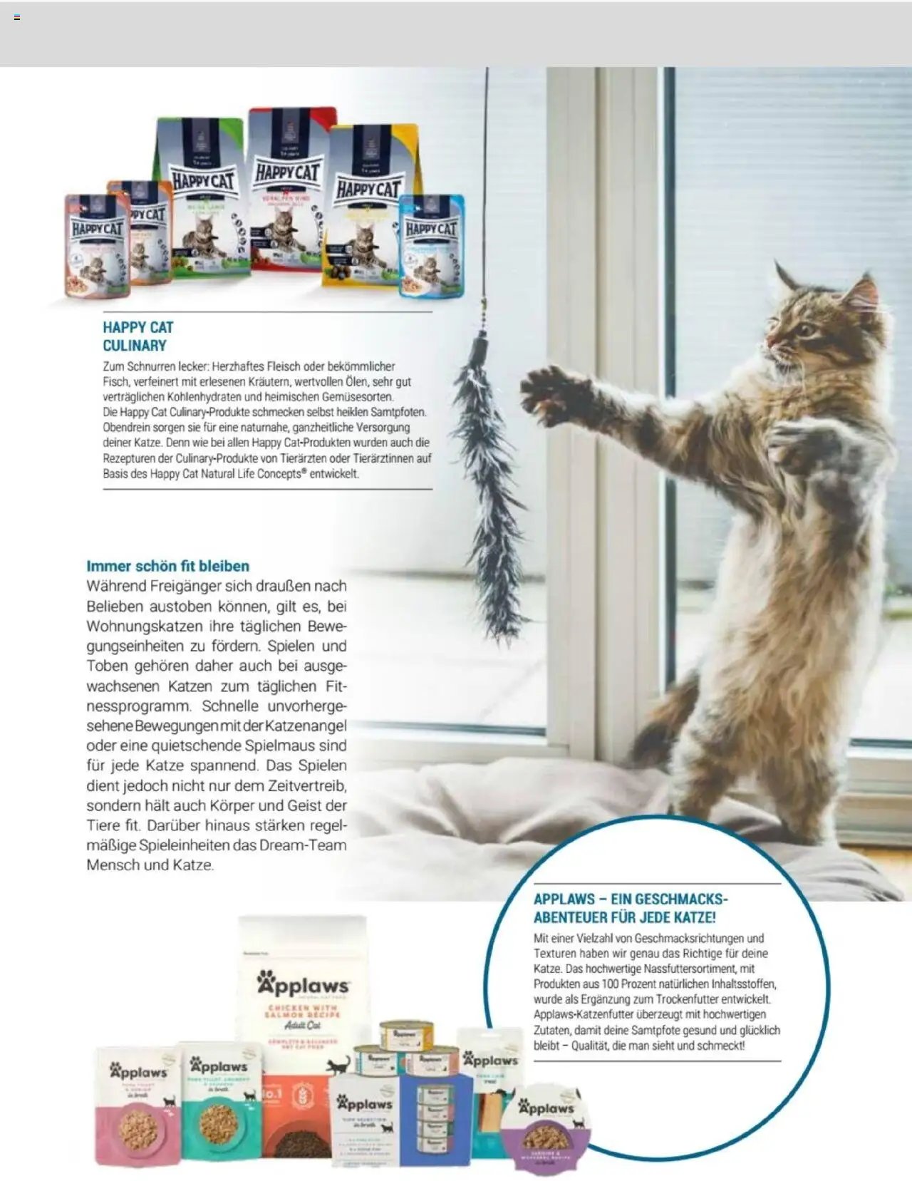 zookauf Themenkatalog Katze