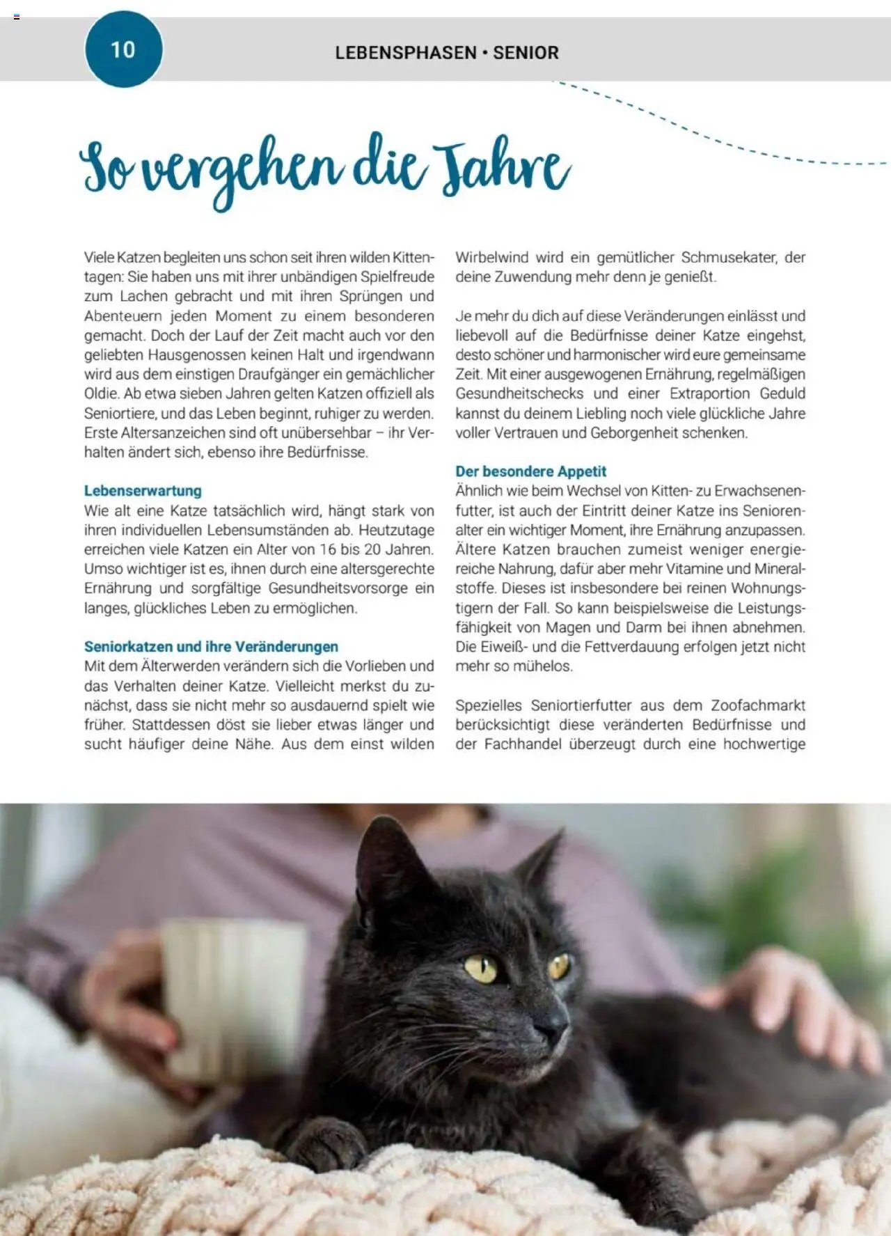 zookauf Themenkatalog Katze