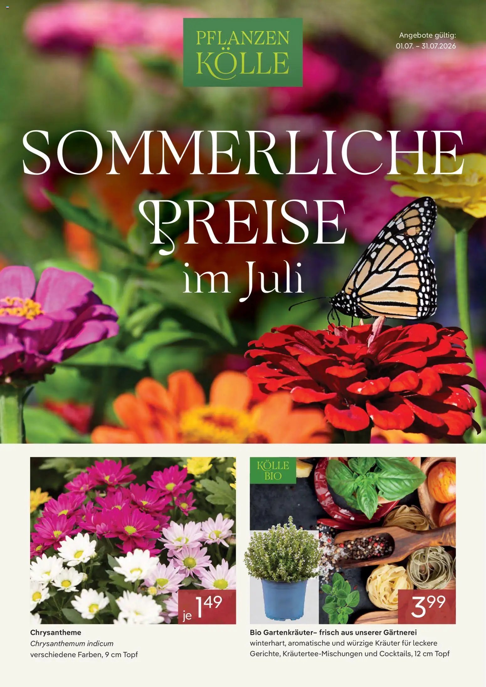 Pflanzen-Kölle Onlineflyer Juli