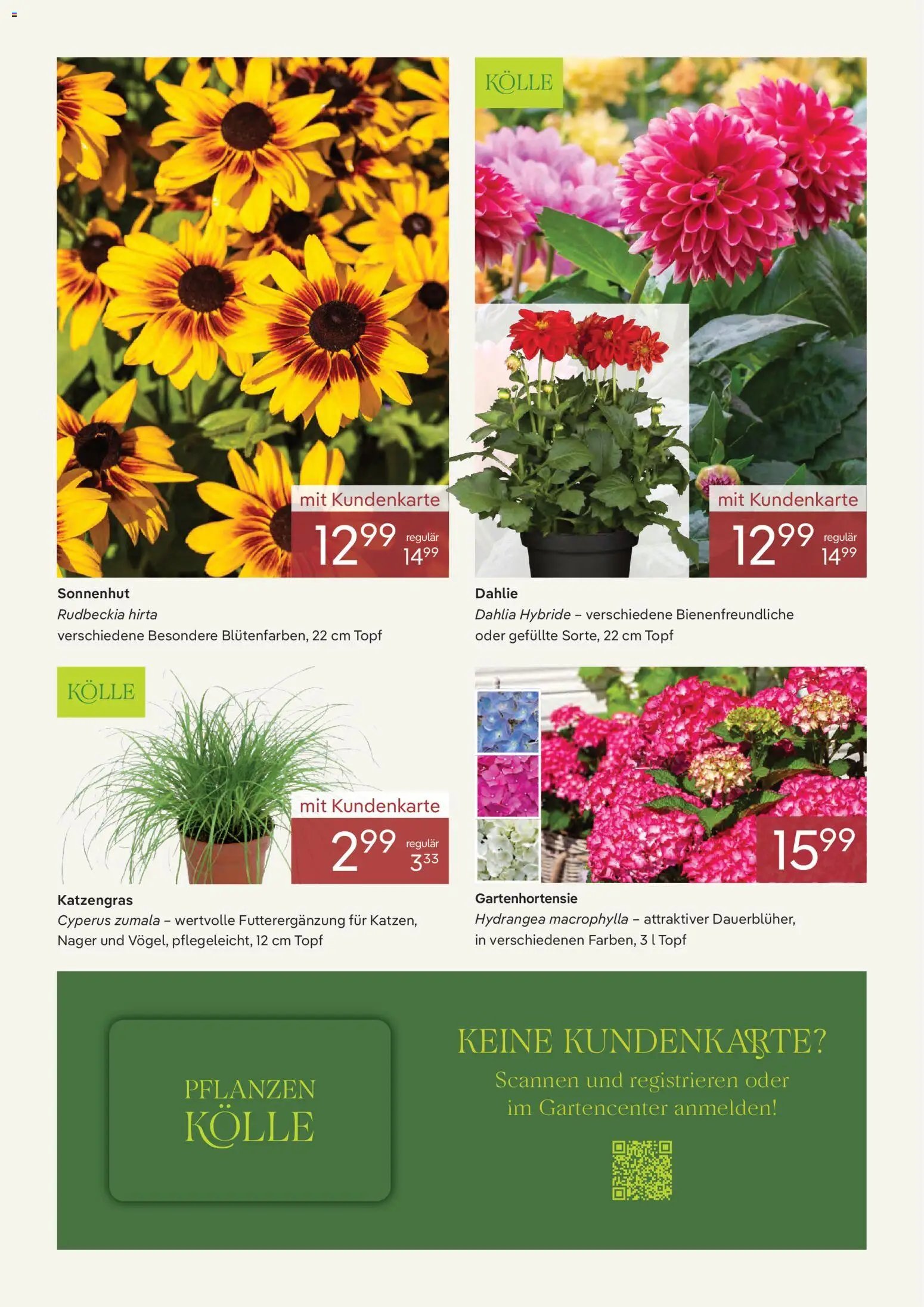 Pflanzen-Kölle Onlineflyer Juli