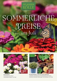 Pflanzen-Kölle Onlineflyer Juli
