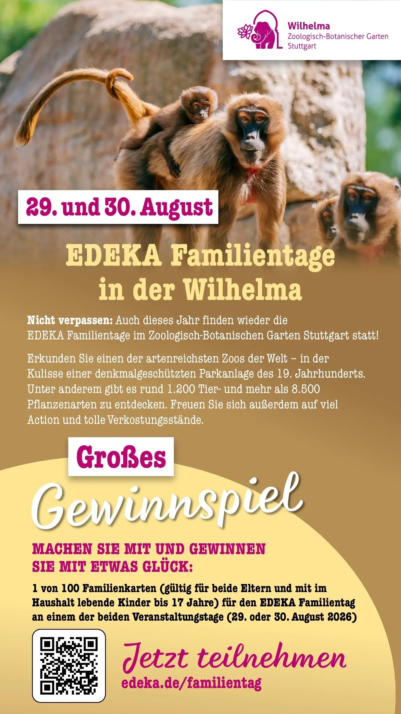 E center Prospekt Achern