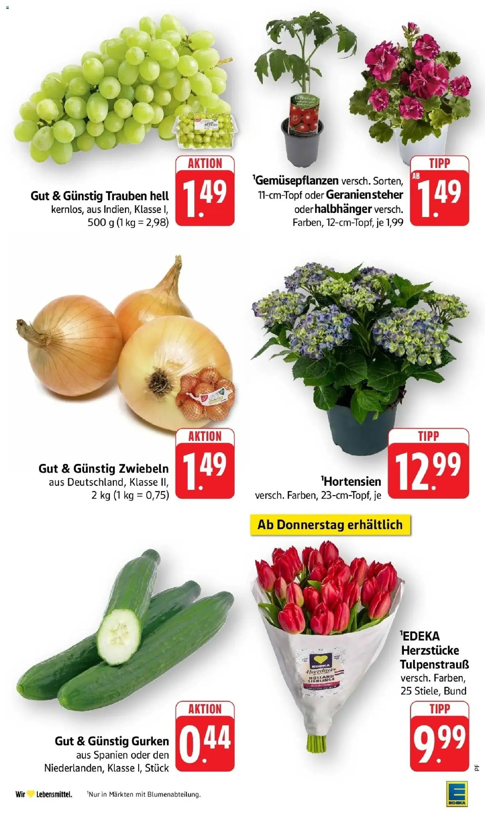 Edeka prospekt Steinfeld	