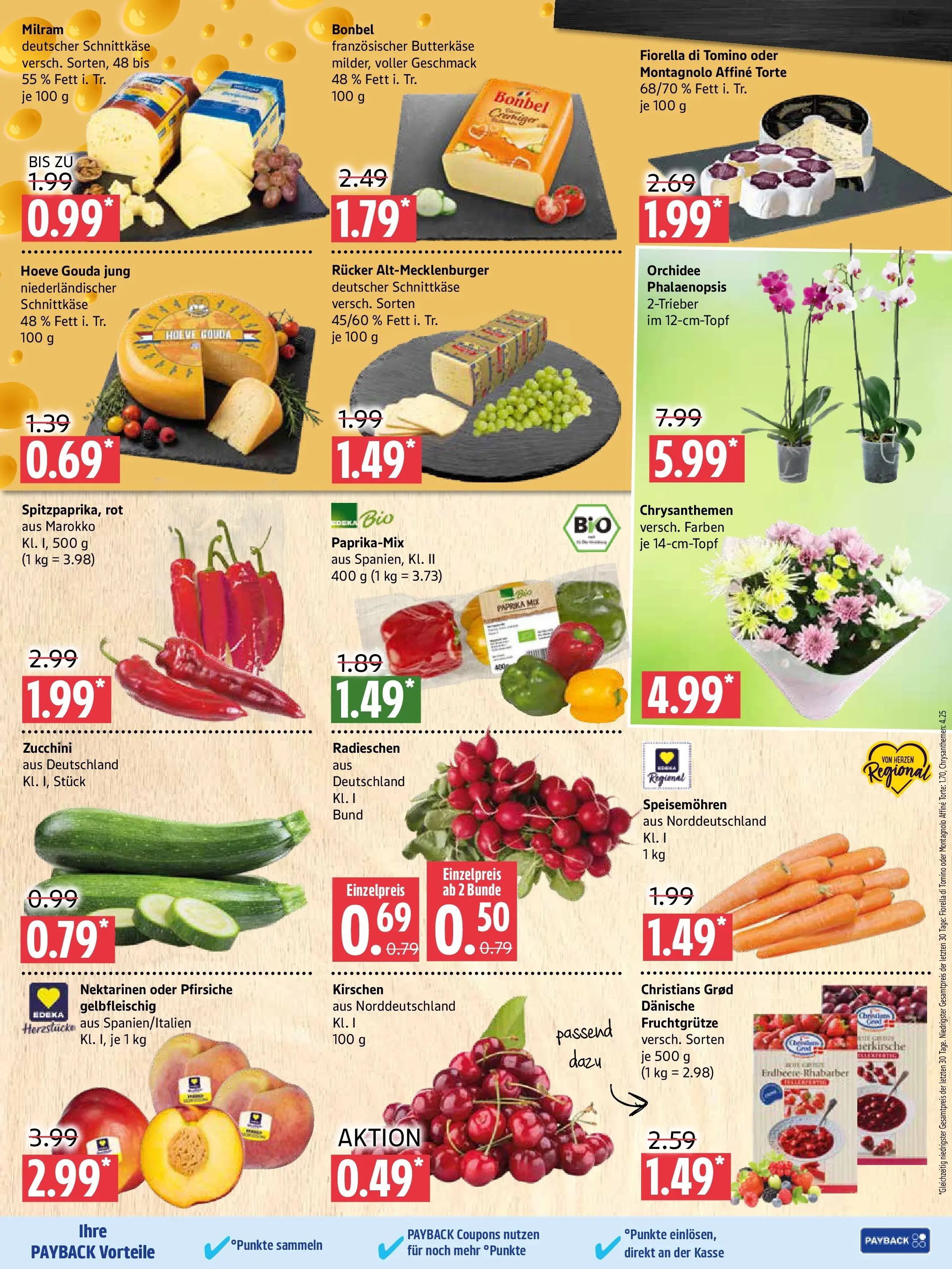 Marktkauf Prospekt Prenzlau