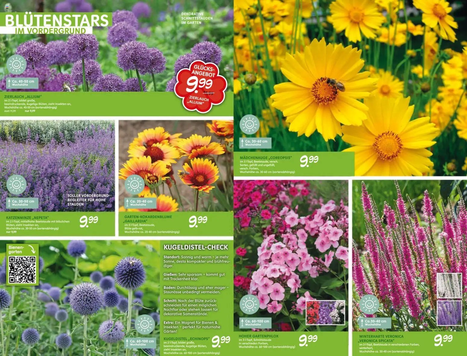 Blumen Risse Blütenglück Blumenmarkt