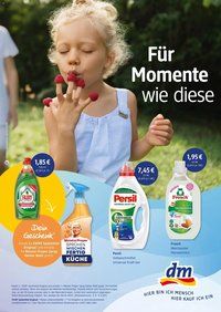 dm drogerie prospekt Berlin