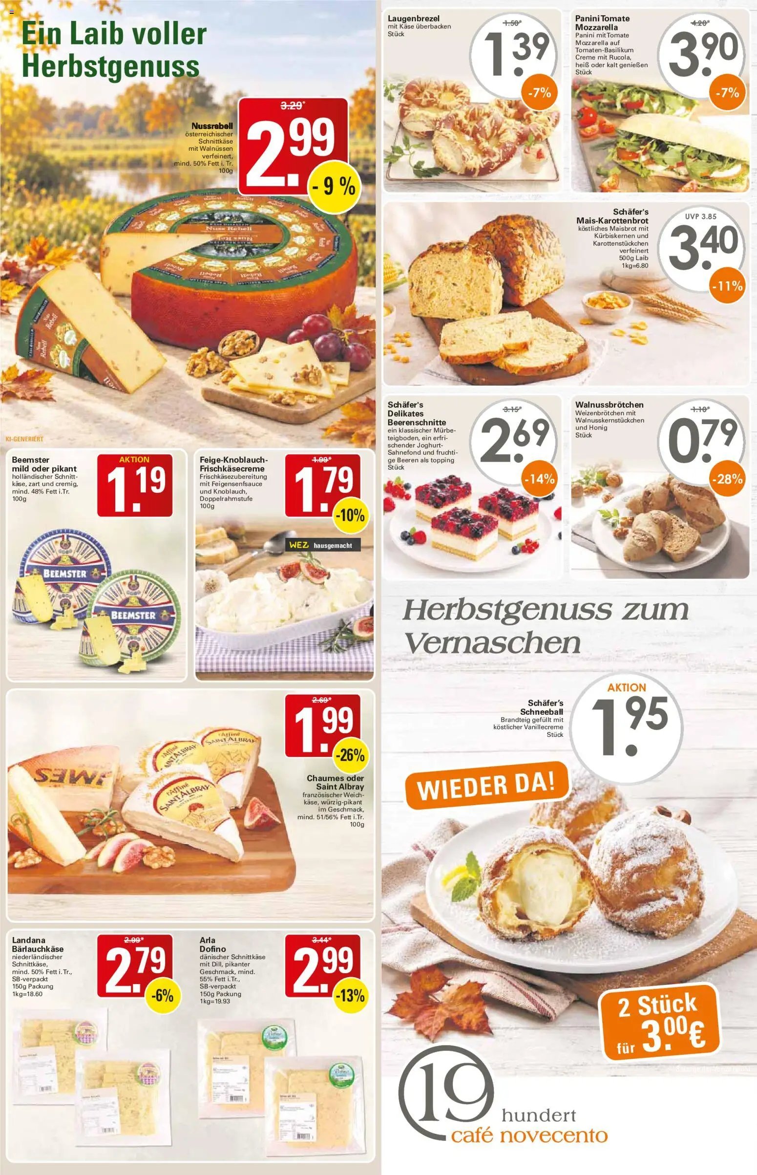 WEZ Prospekt