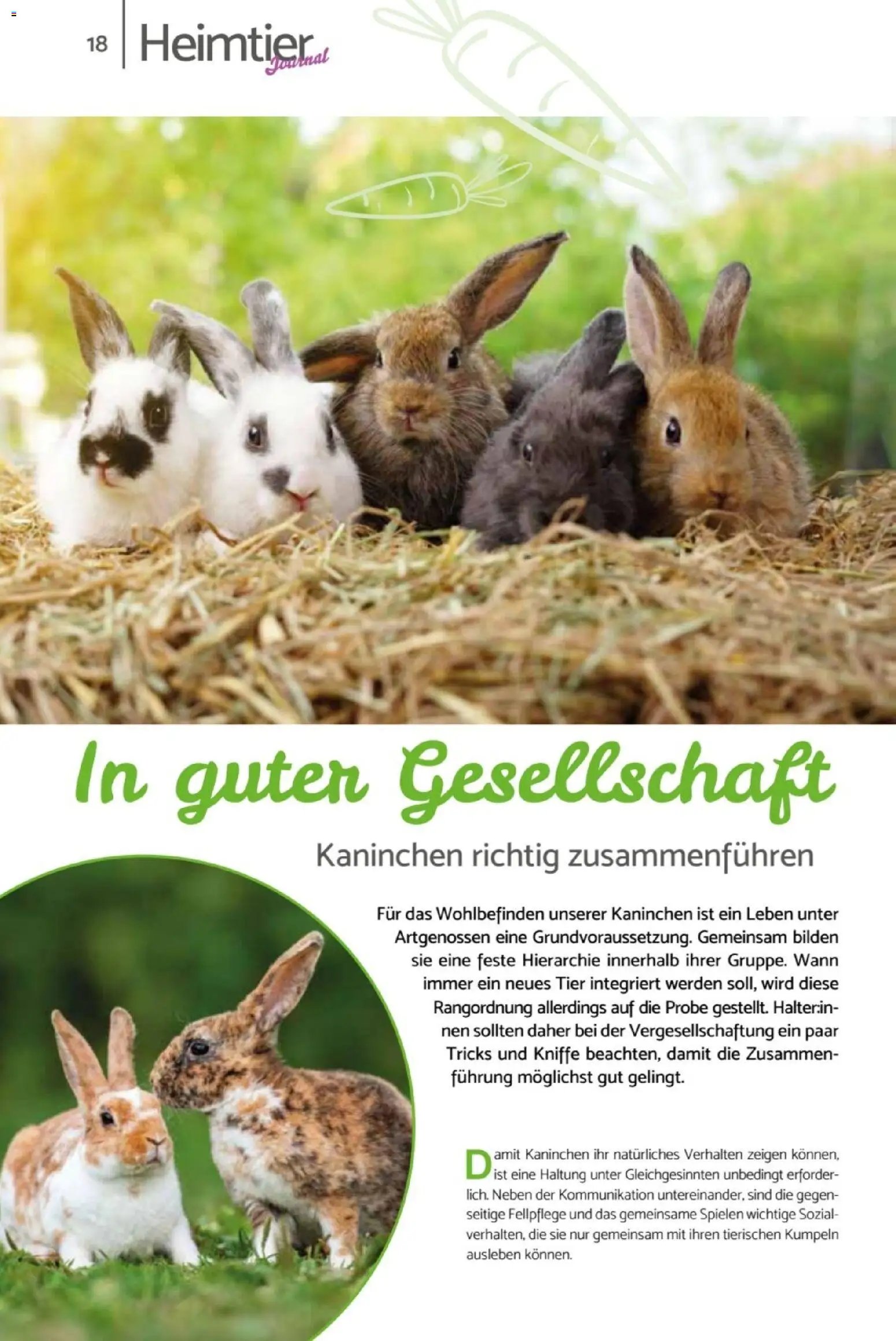 zookauf Heimtier Journal