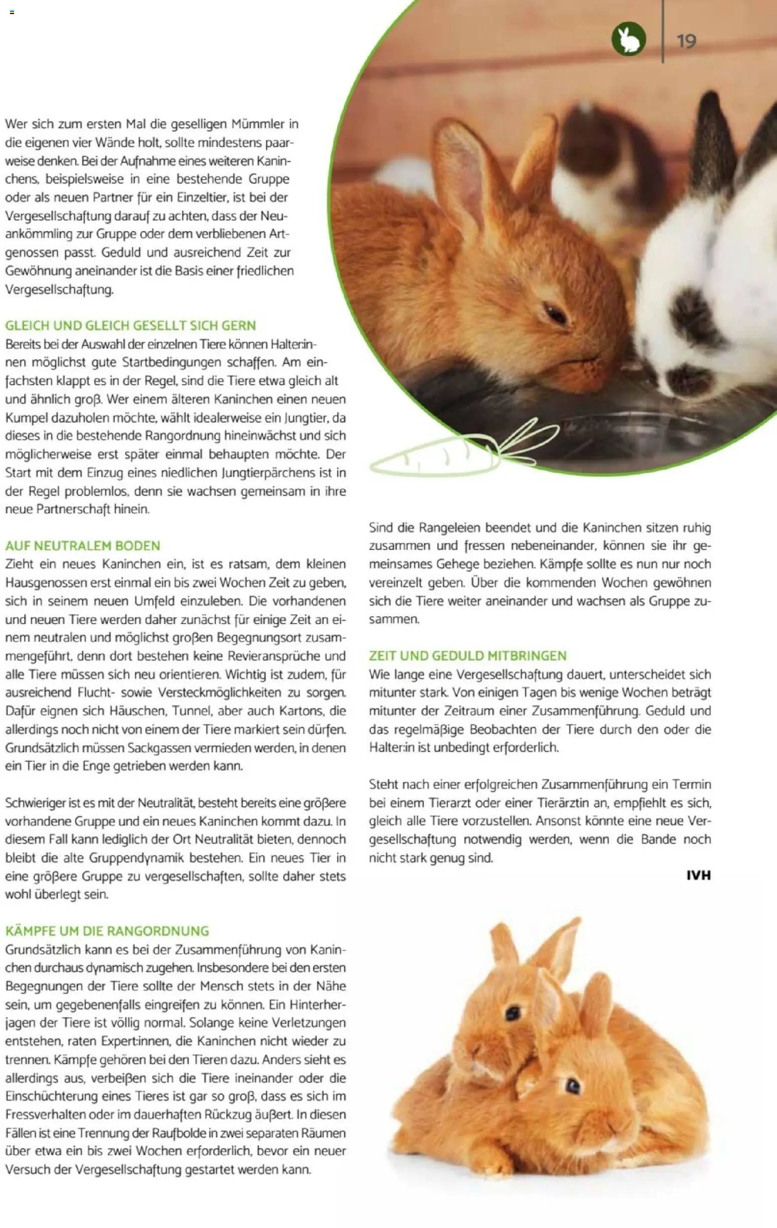 zookauf Heimtier Journal