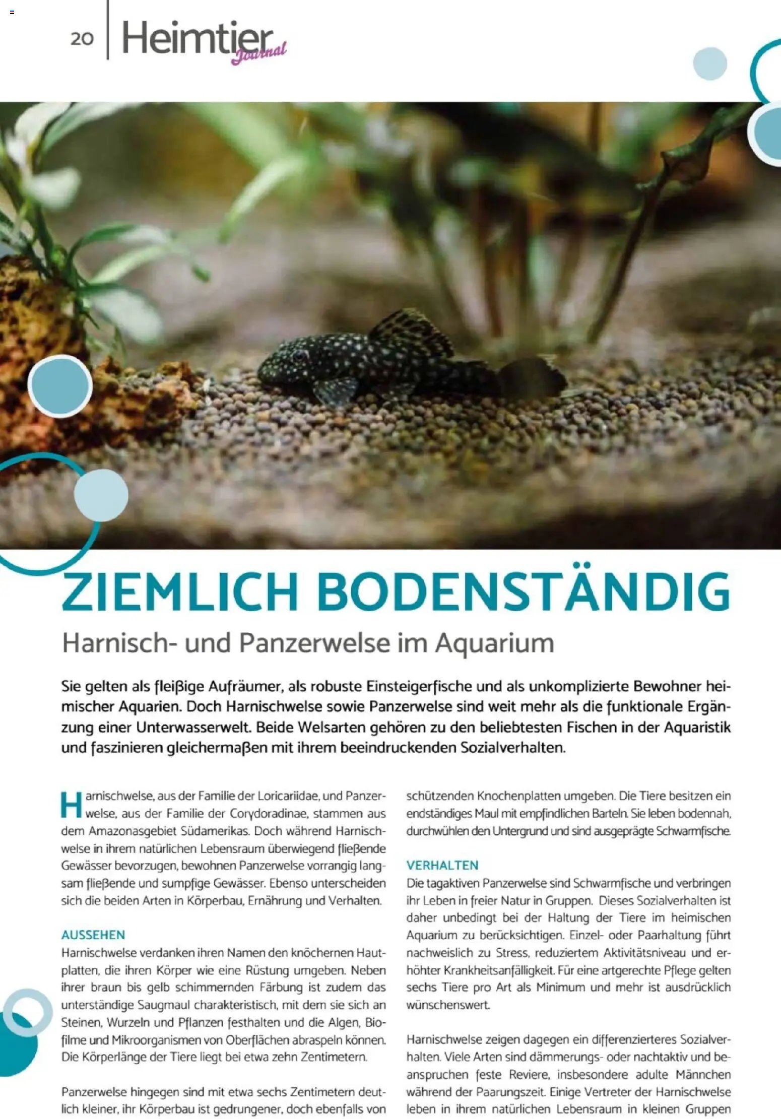 zookauf Heimtier Journal