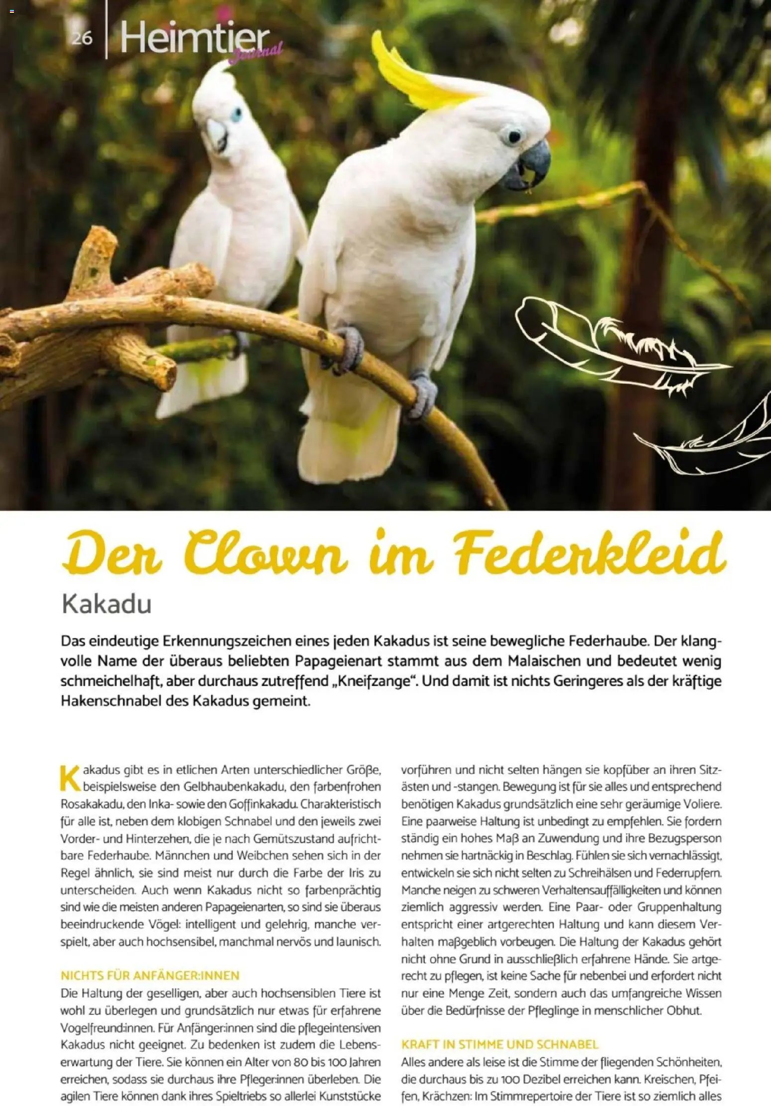zookauf Heimtier Journal
