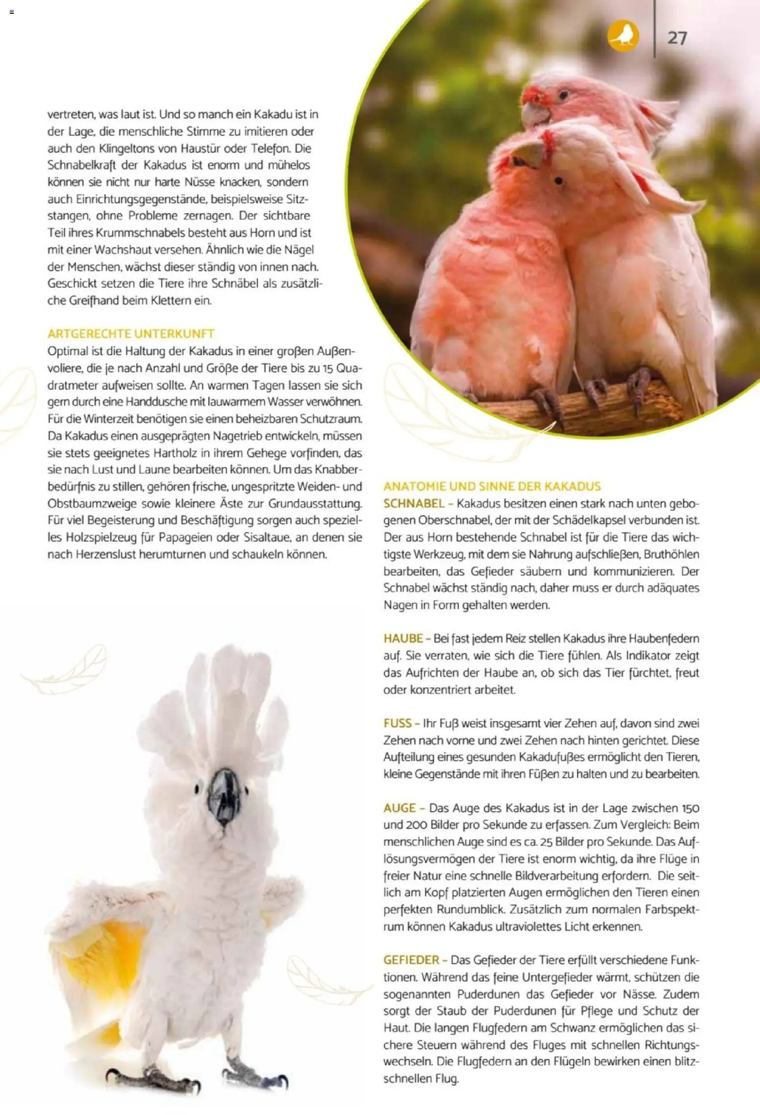 zookauf Heimtier Journal