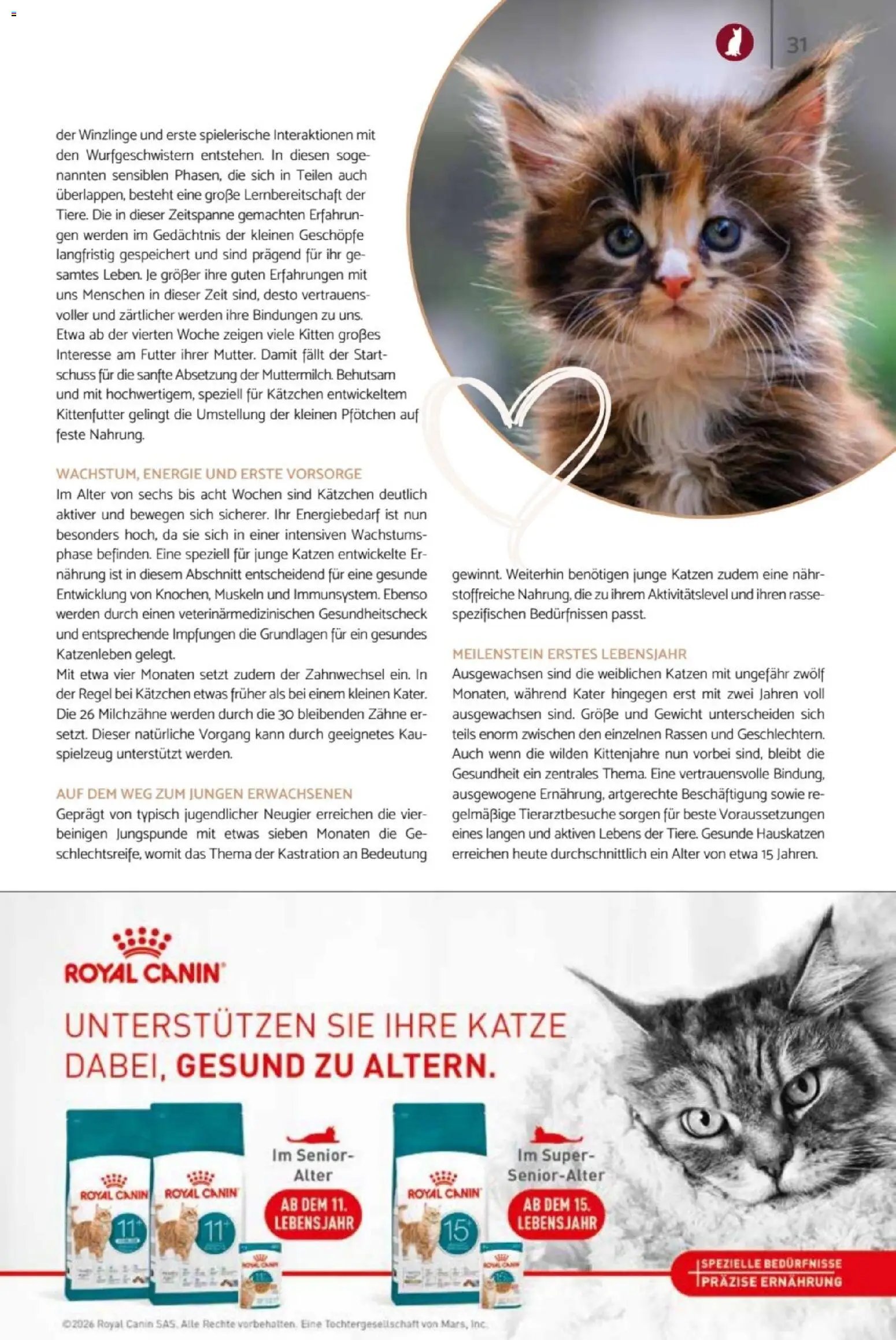 zookauf Heimtier Journal