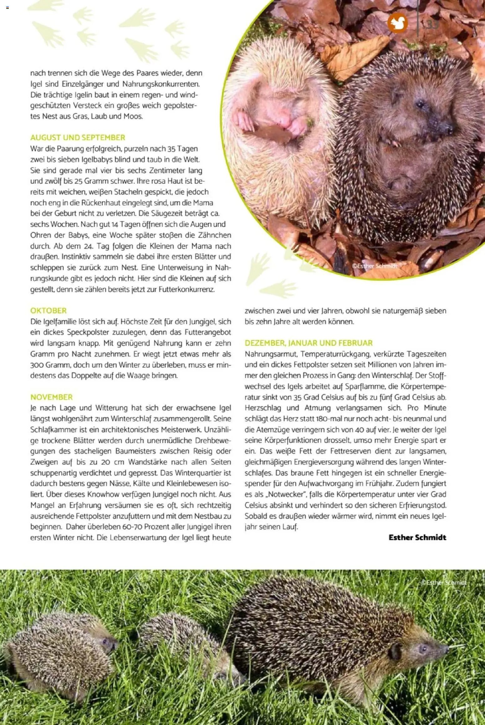 zookauf Heimtier Journal