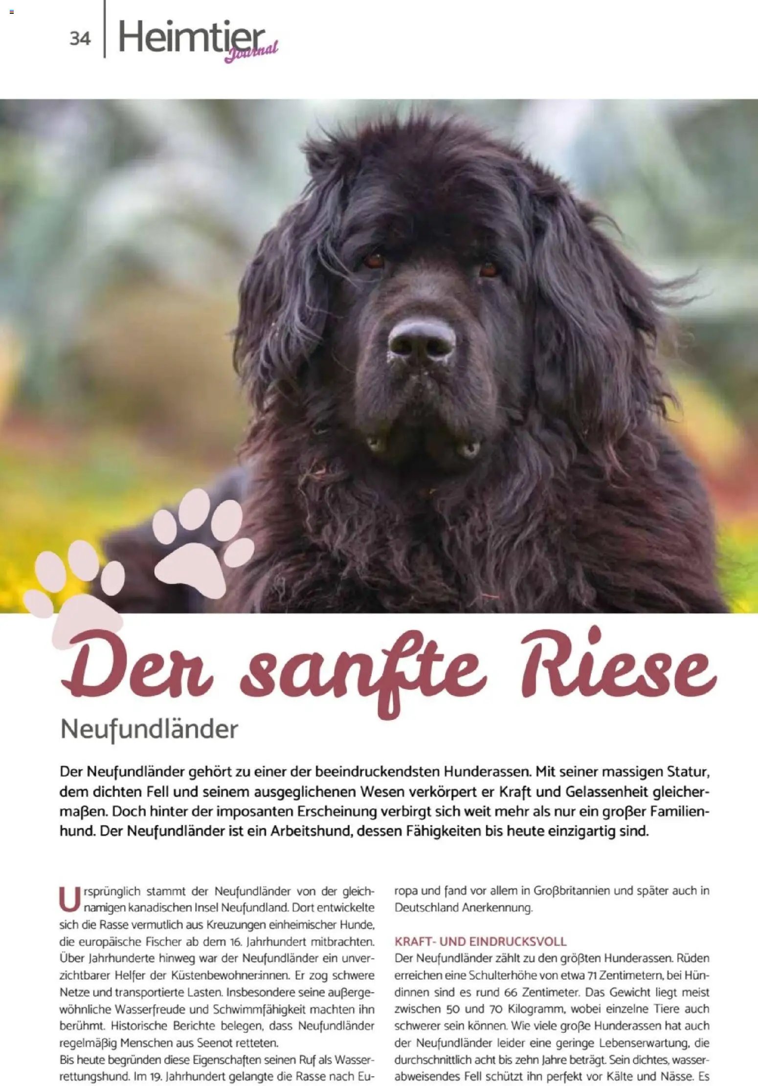 zookauf Heimtier Journal