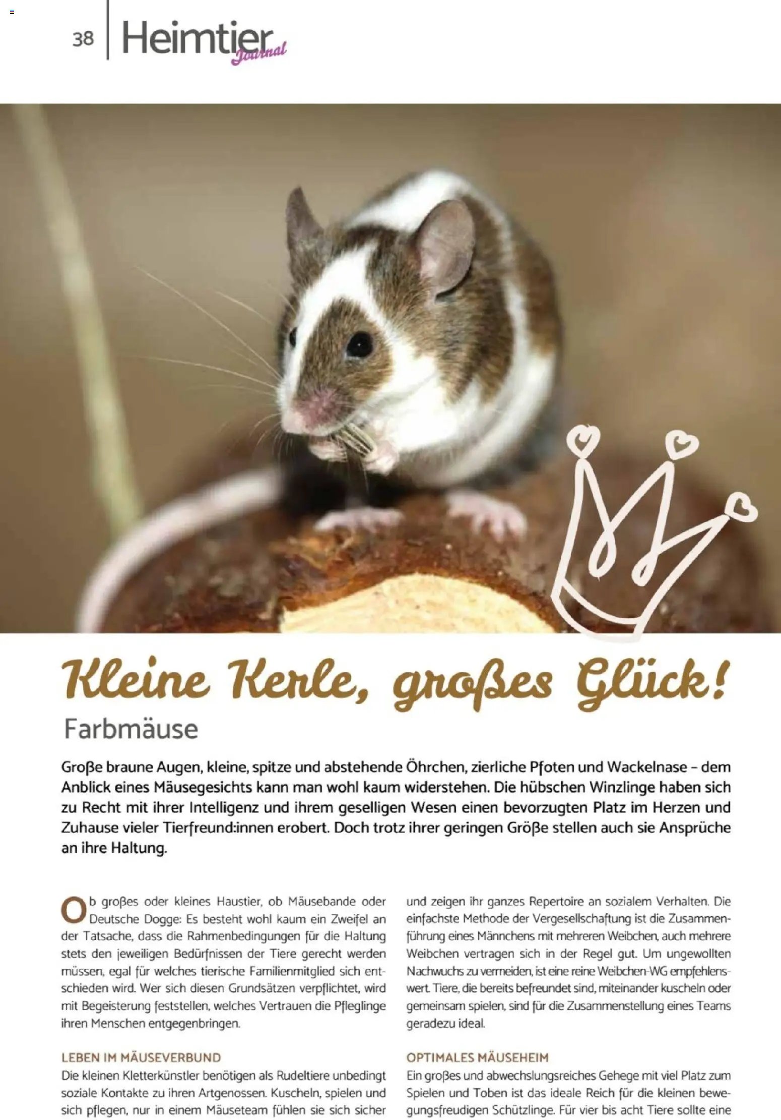 zookauf Heimtier Journal