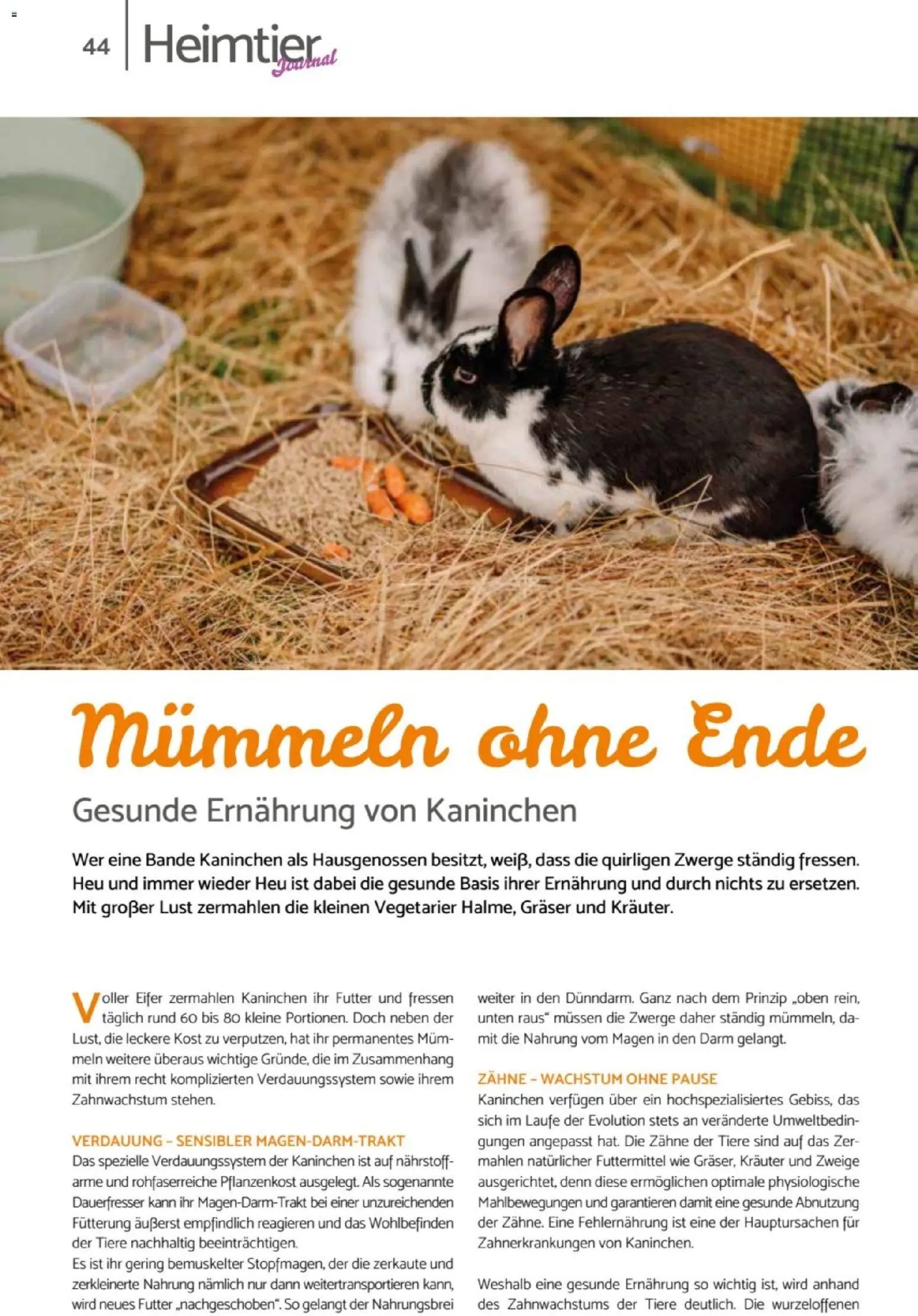 zookauf Heimtier Journal