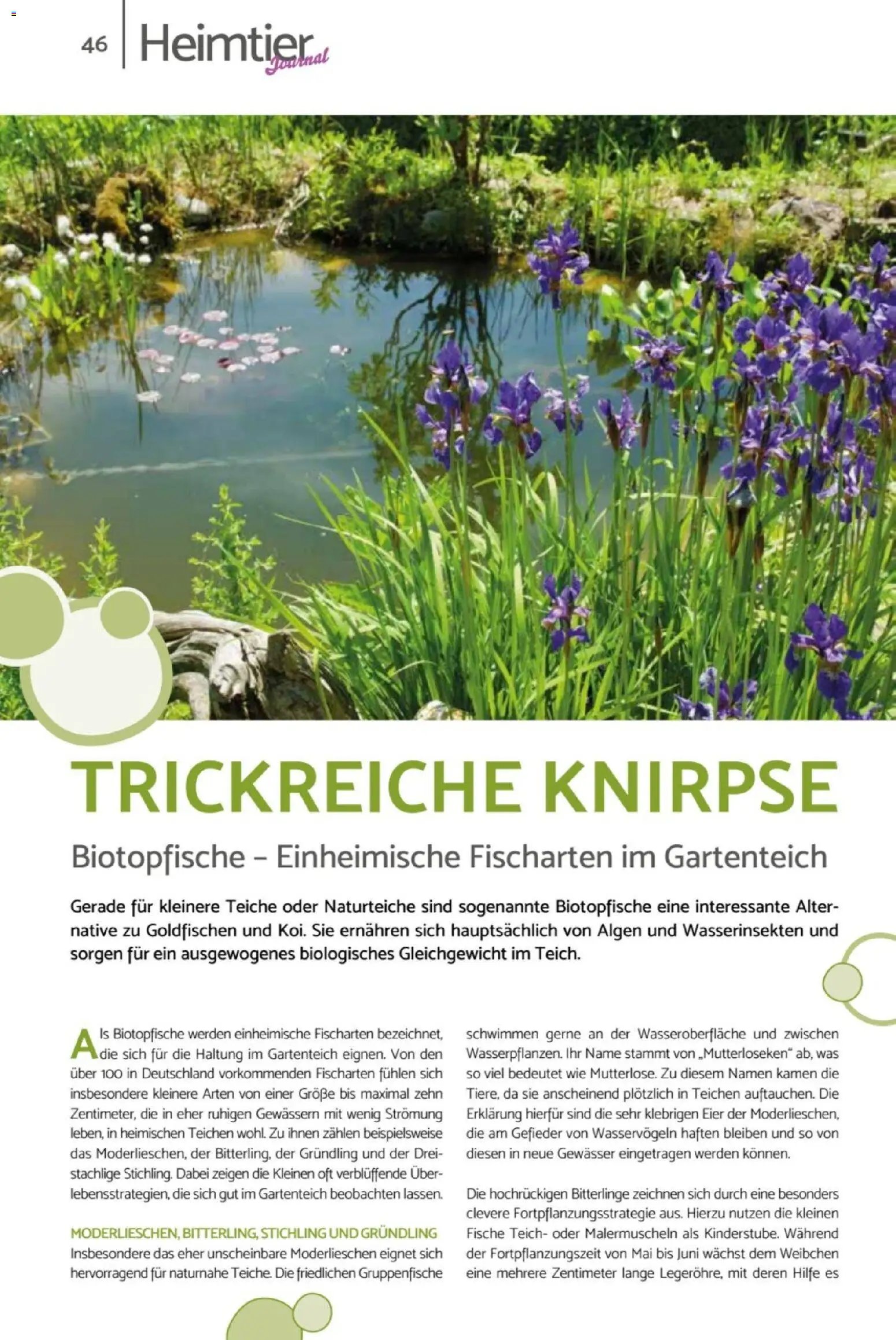 zookauf Heimtier Journal
