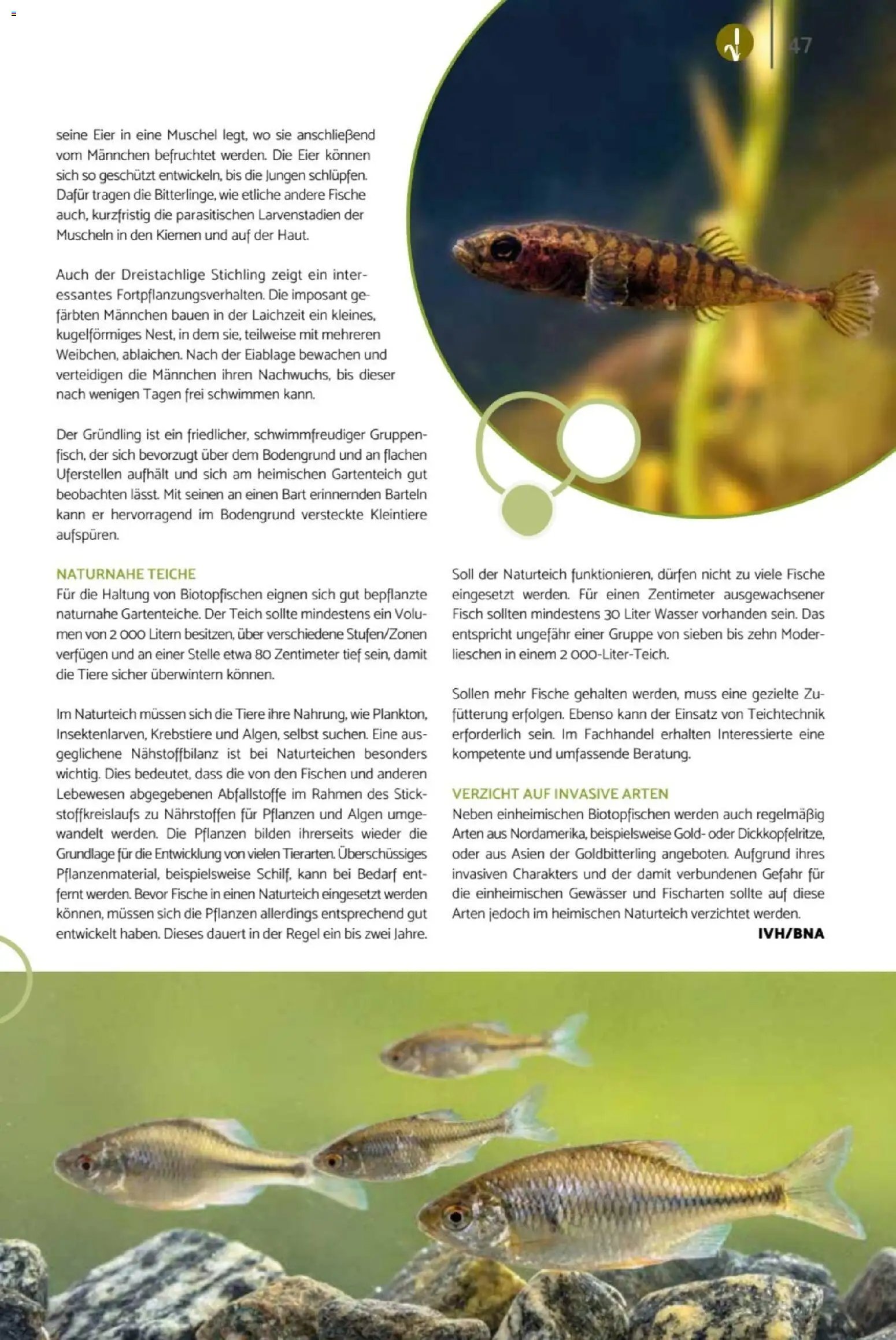 zookauf Heimtier Journal
