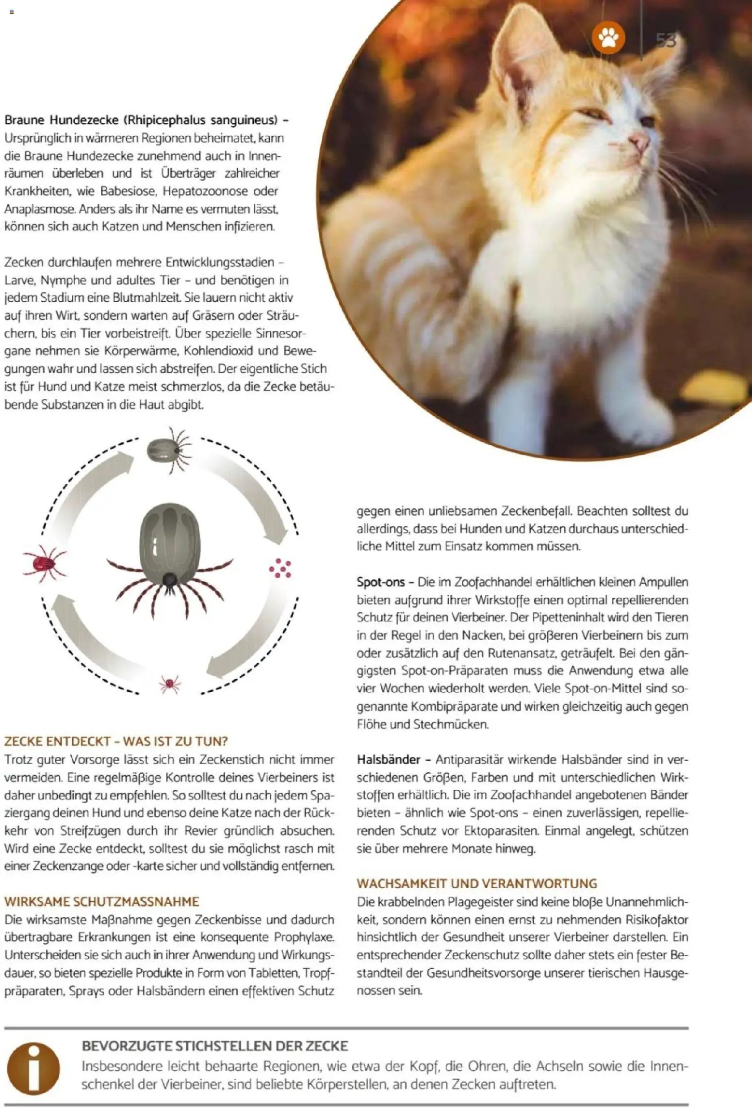 zookauf Heimtier Journal
