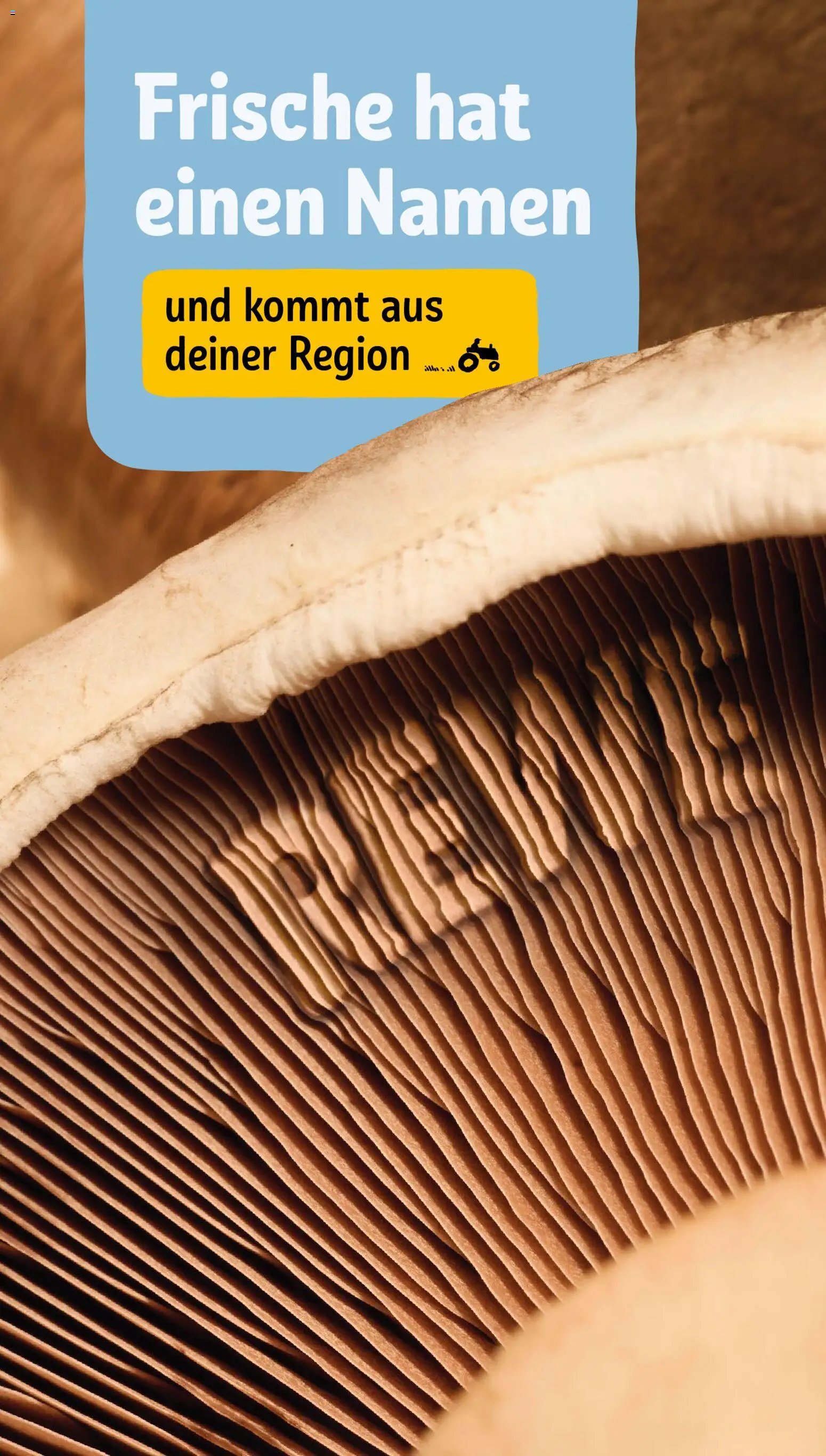 Rewe ihr Kaufpark Prospekt