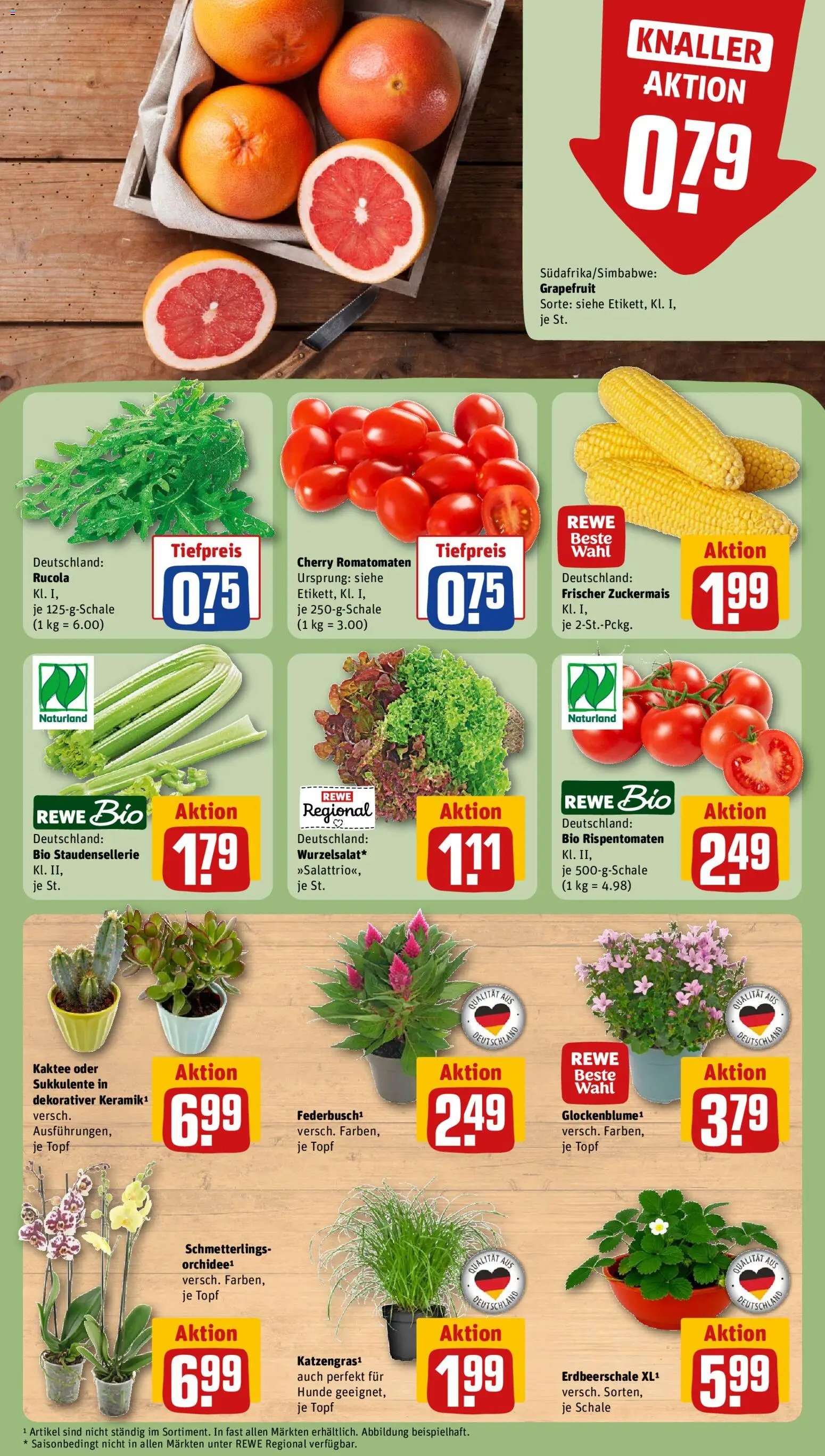 Rewe ihr Kaufpark Prospekt