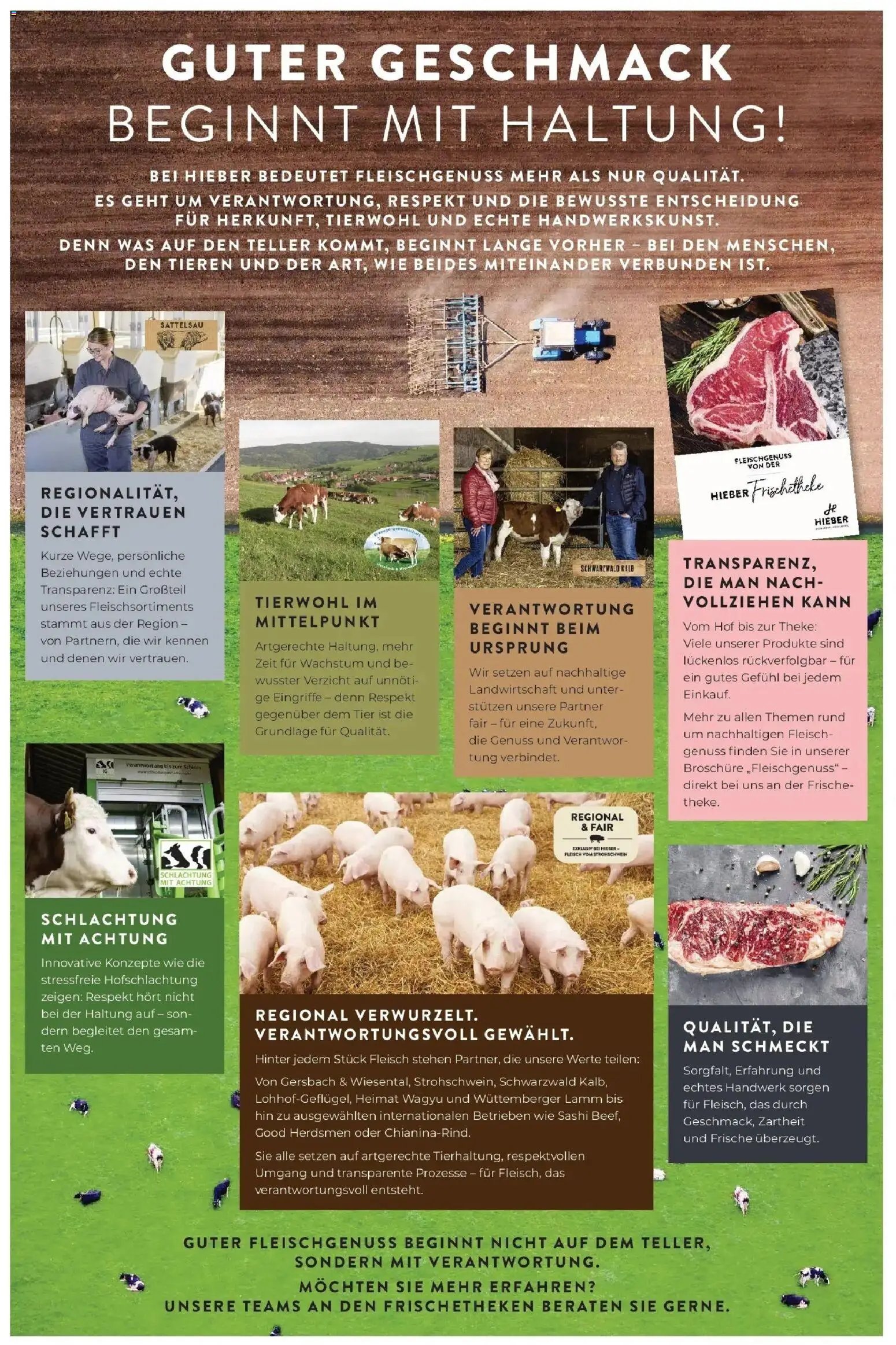 Edeka prospekt Schliengen	