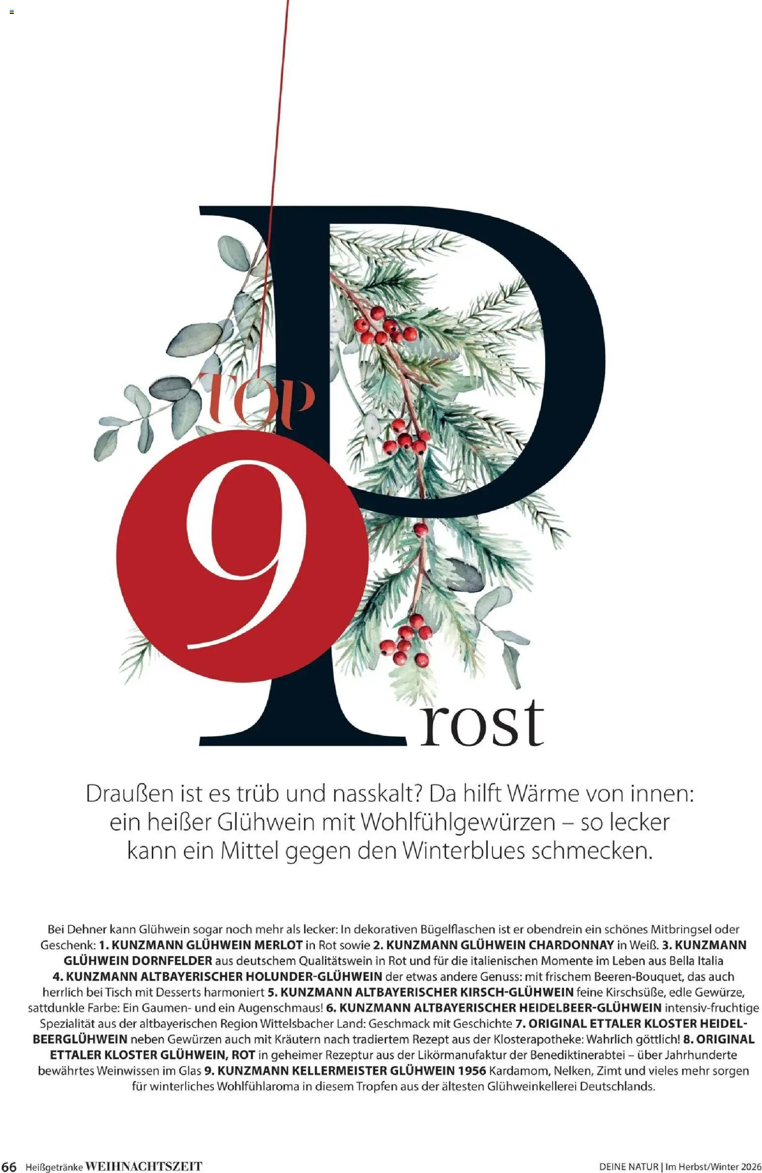 Dehner Prospekt