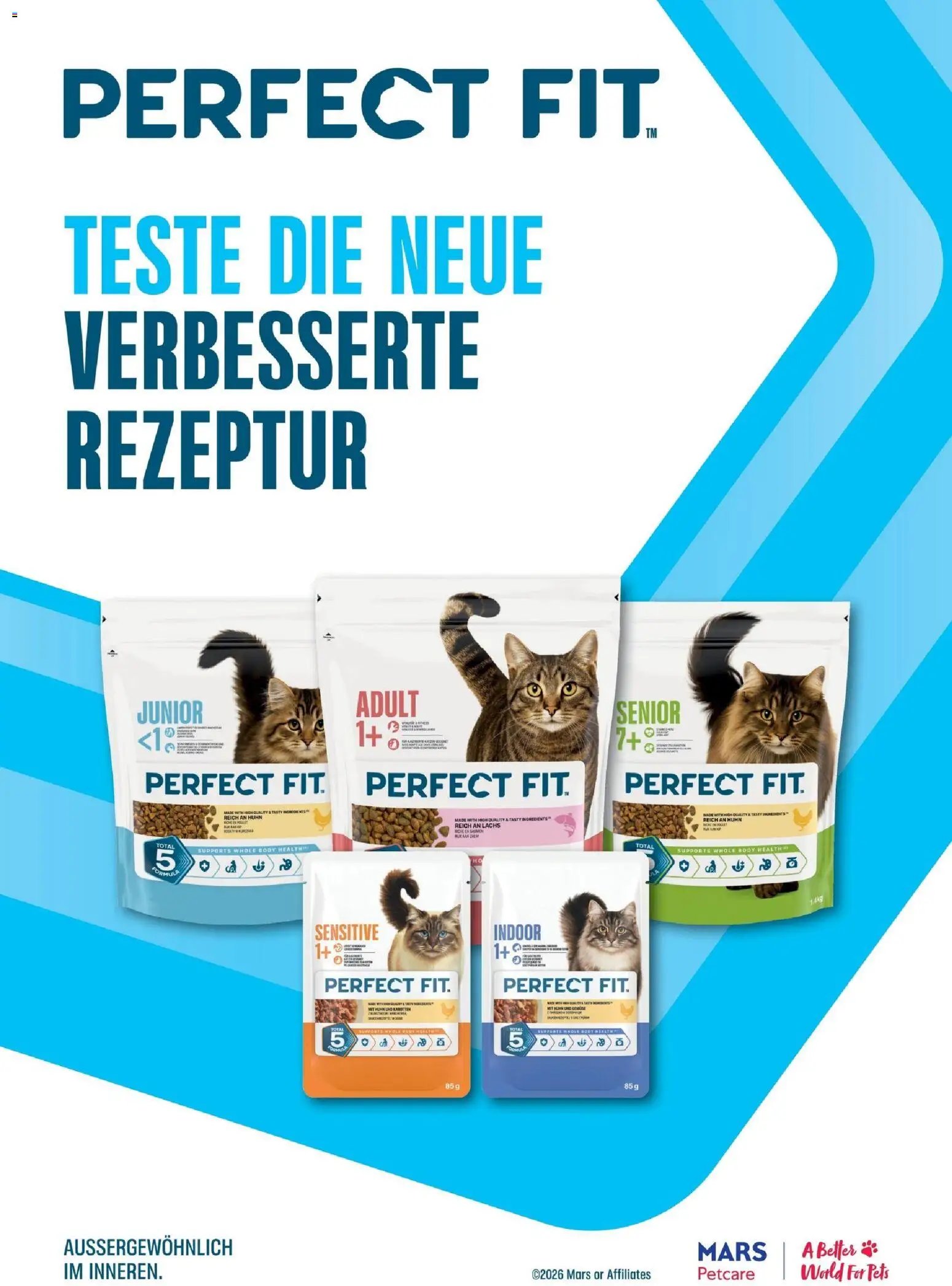 Dehner Prospekt