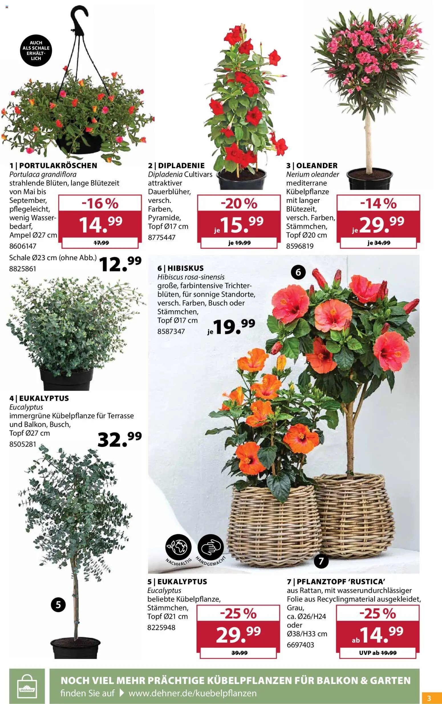 Dehner Prospekt