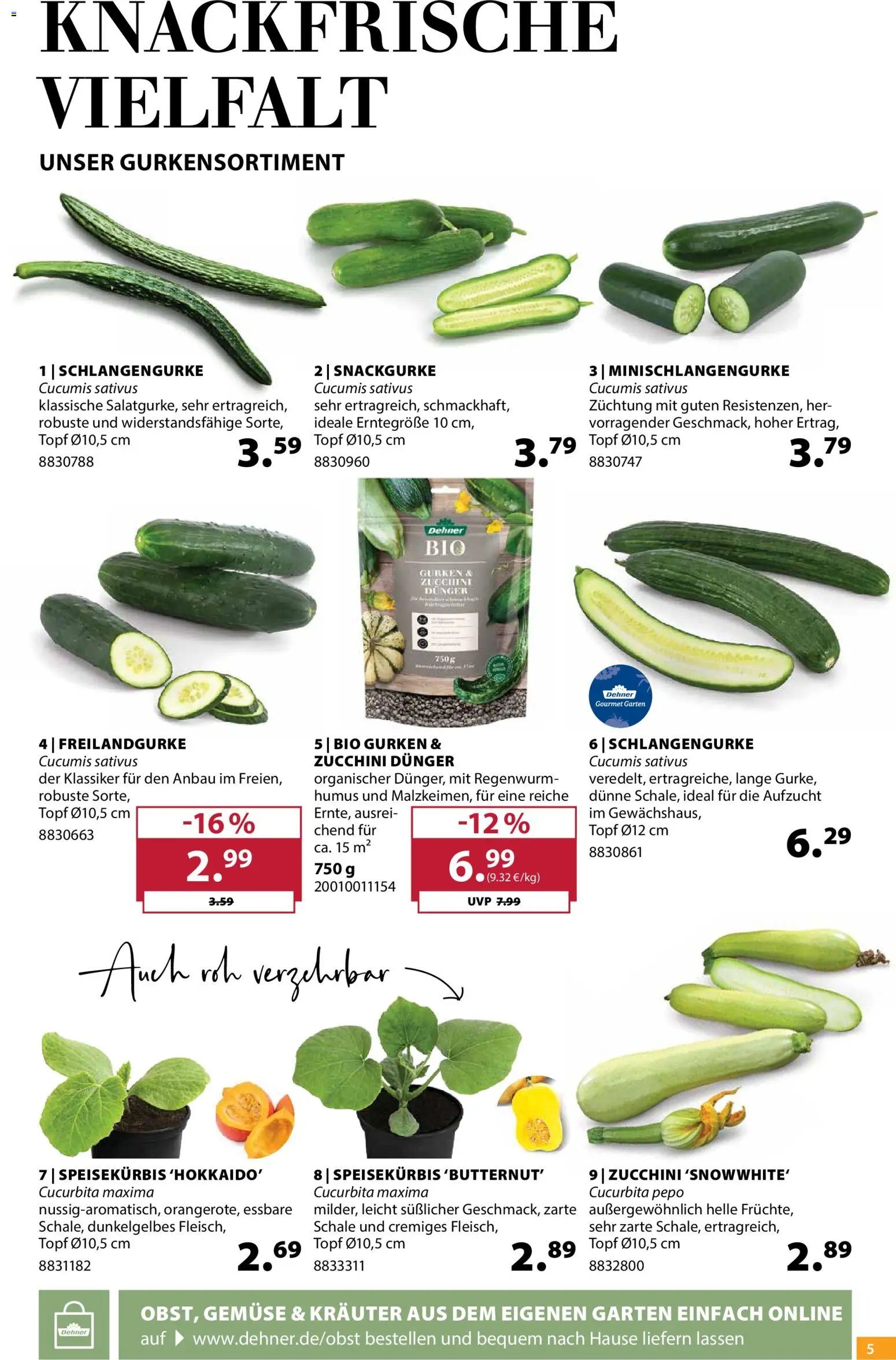 Dehner Prospekt