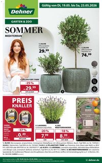 Dehner Prospekt