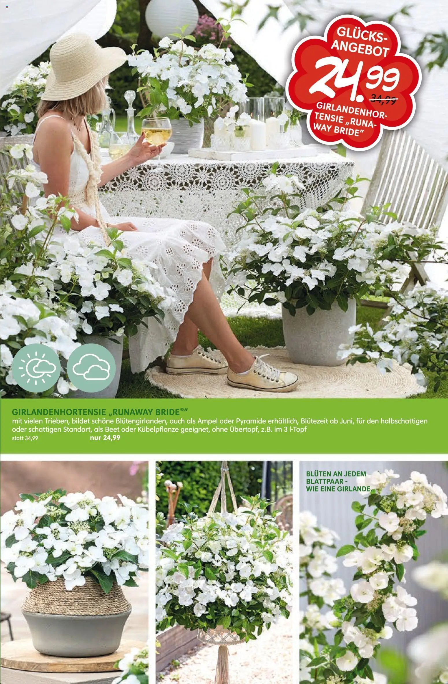 Blumen Risse Prospekt Blumenmarkt (2026-04-16 - 2026-04-26)