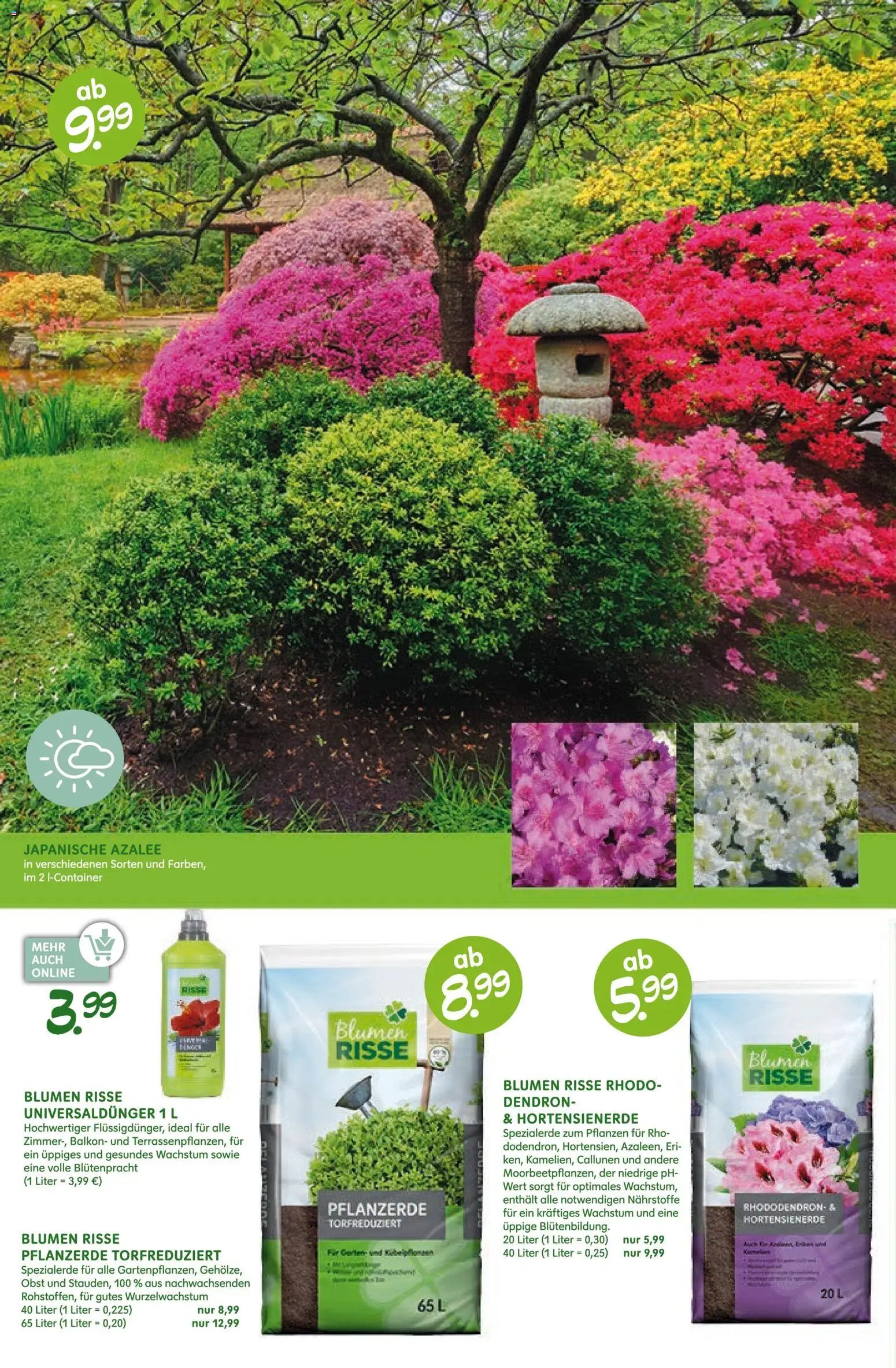 Blumen Risse Prospekt Blumenmarkt (2026-04-16 - 2026-04-26)