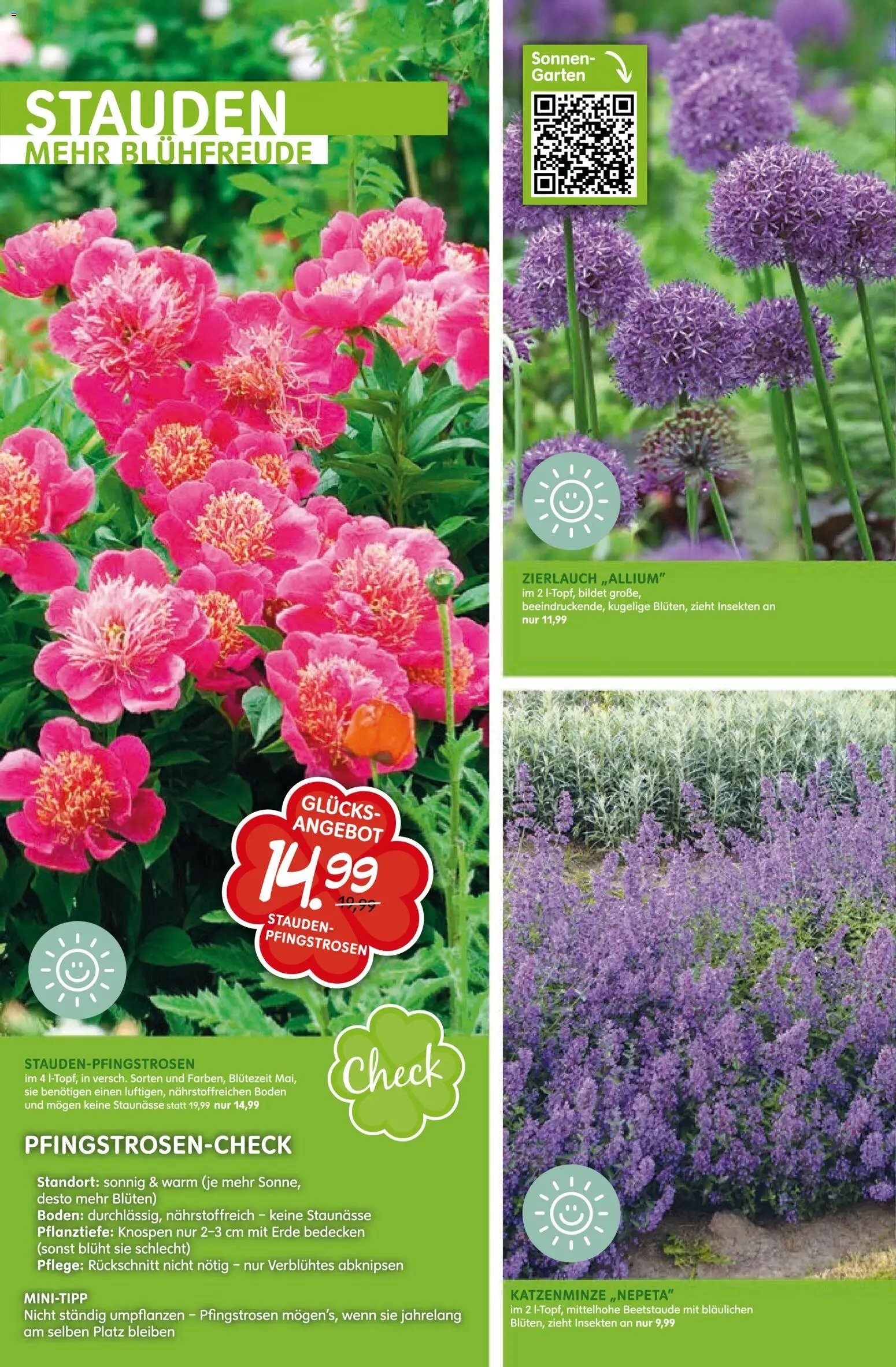 Blumen Risse Prospekt Blumenmarkt