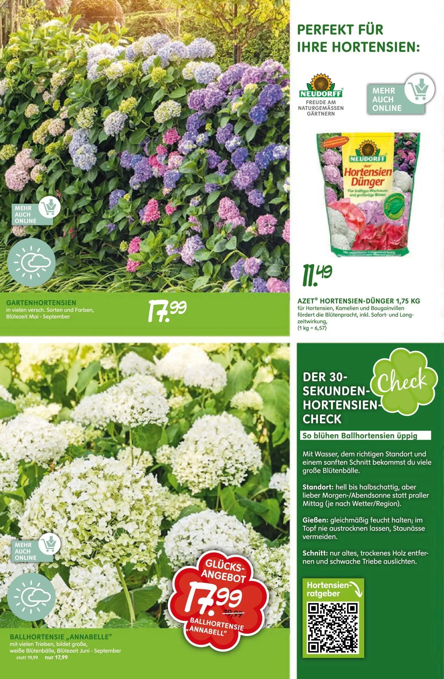 Blumen Risse Prospekt Blumenmarkt (2026-04-16 - 2026-04-26)