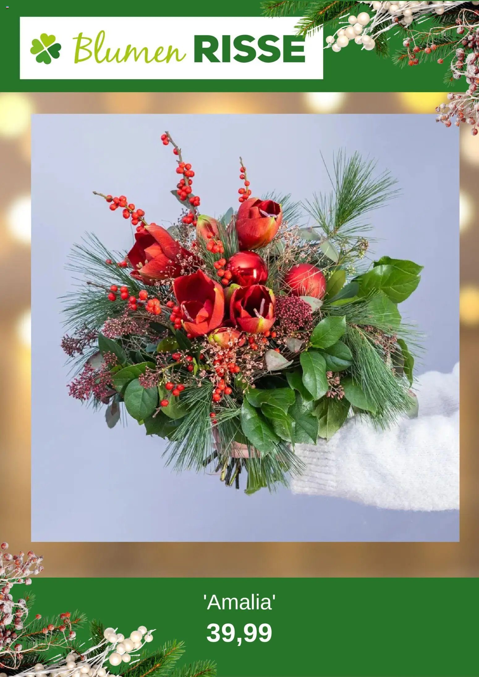 Blumen Risse Prospekt 	