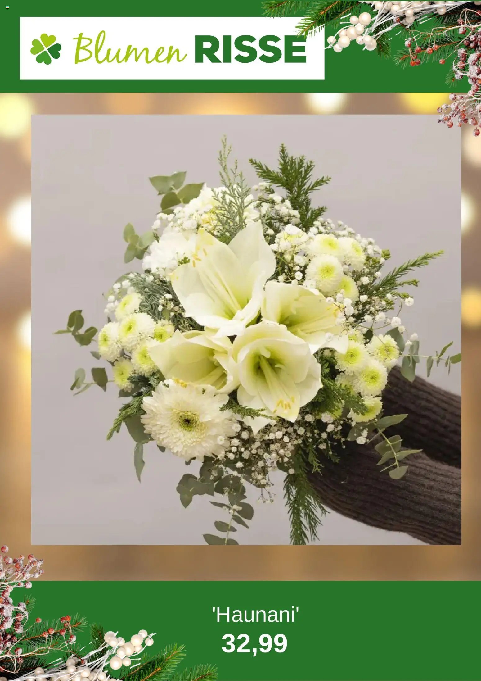 Blumen Risse Prospekt 	