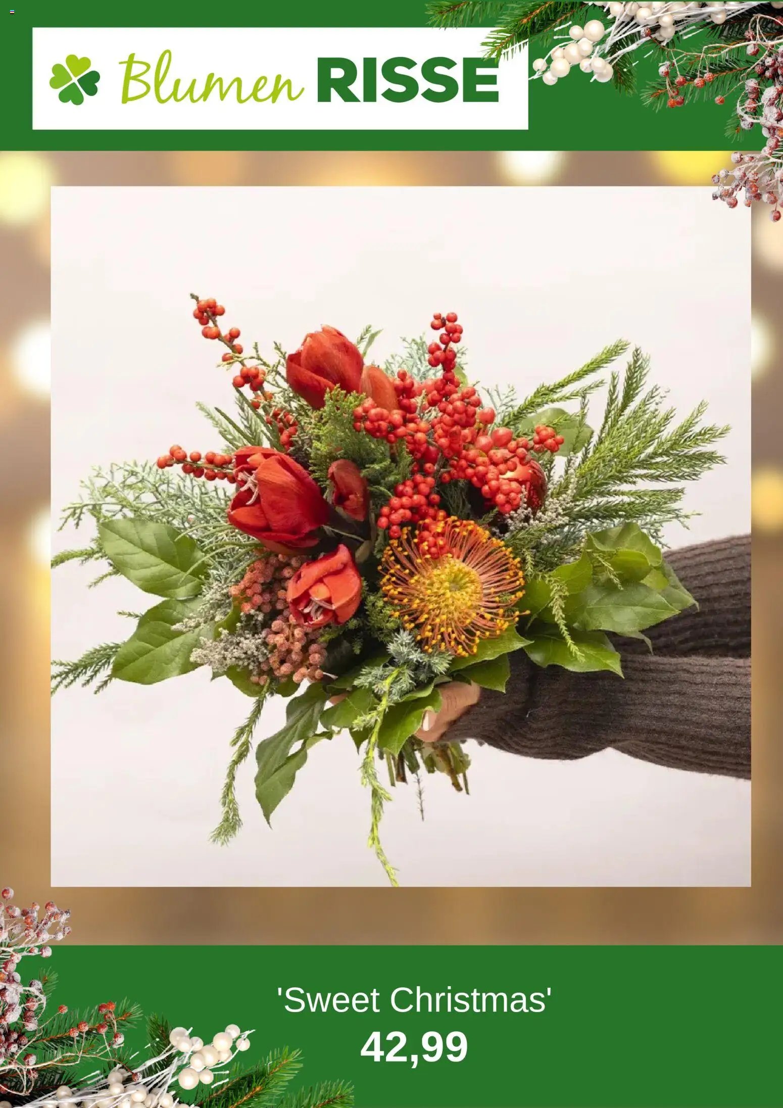 Blumen Risse Prospekt 	