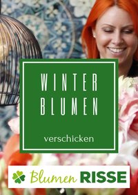 Blumen Risse Prospekt 	