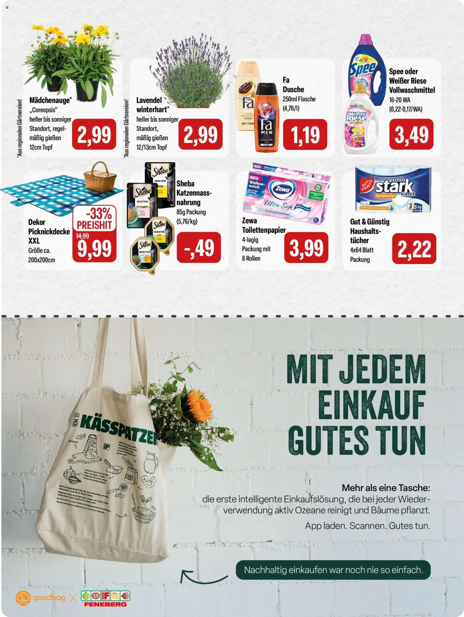 Feneberg Angebote