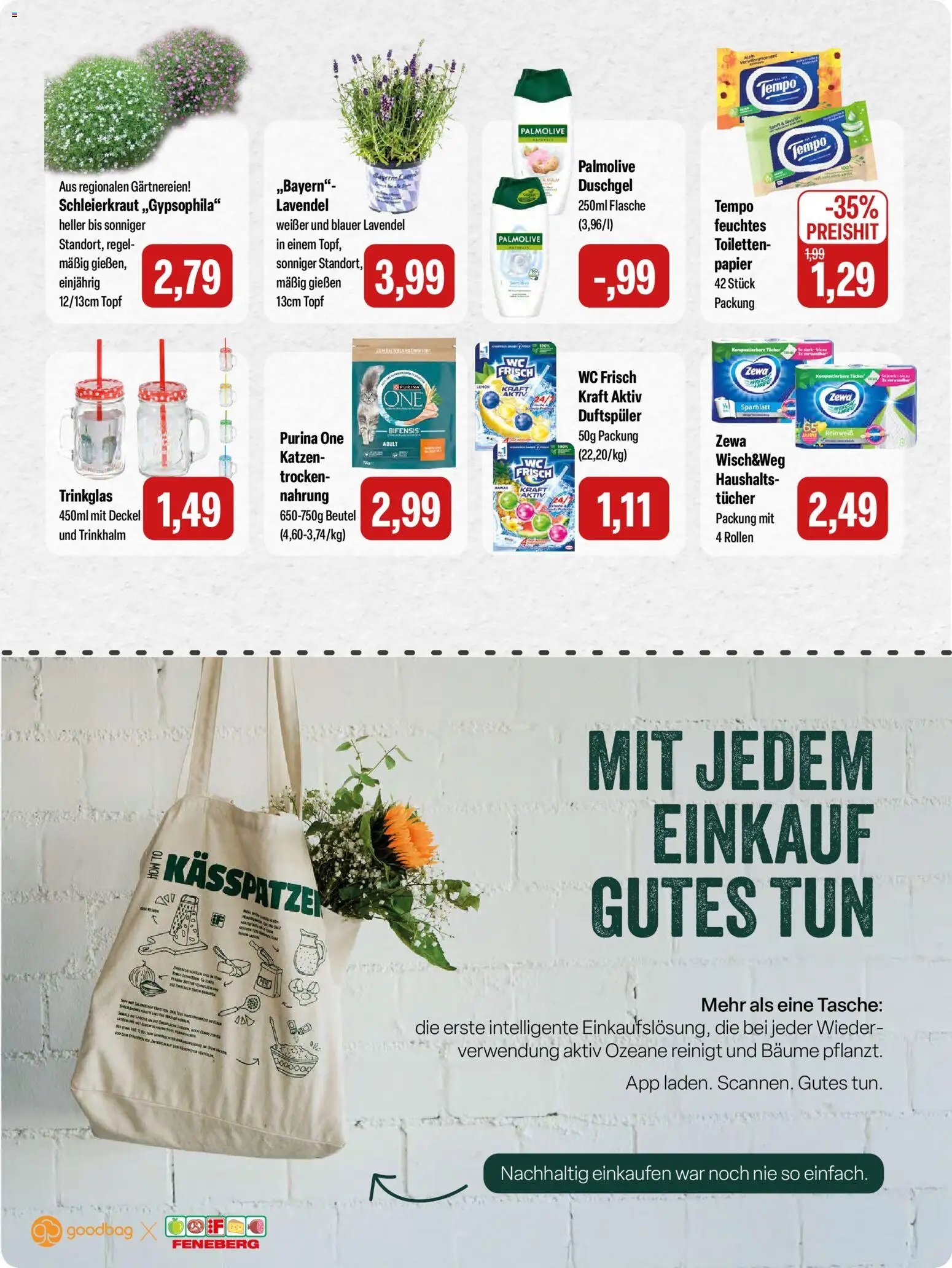 Feneberg Angebote