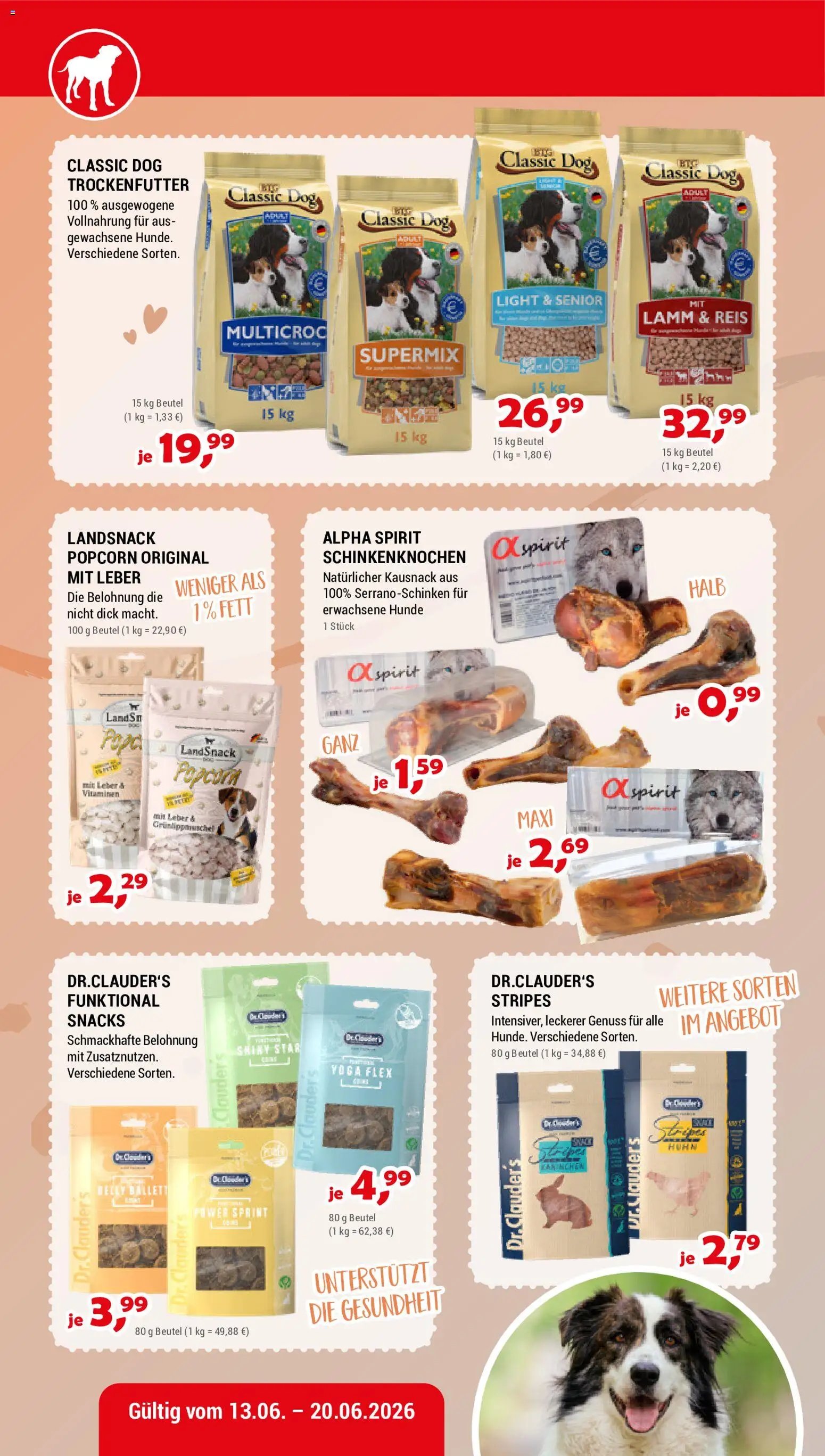 zookauf Prospekt