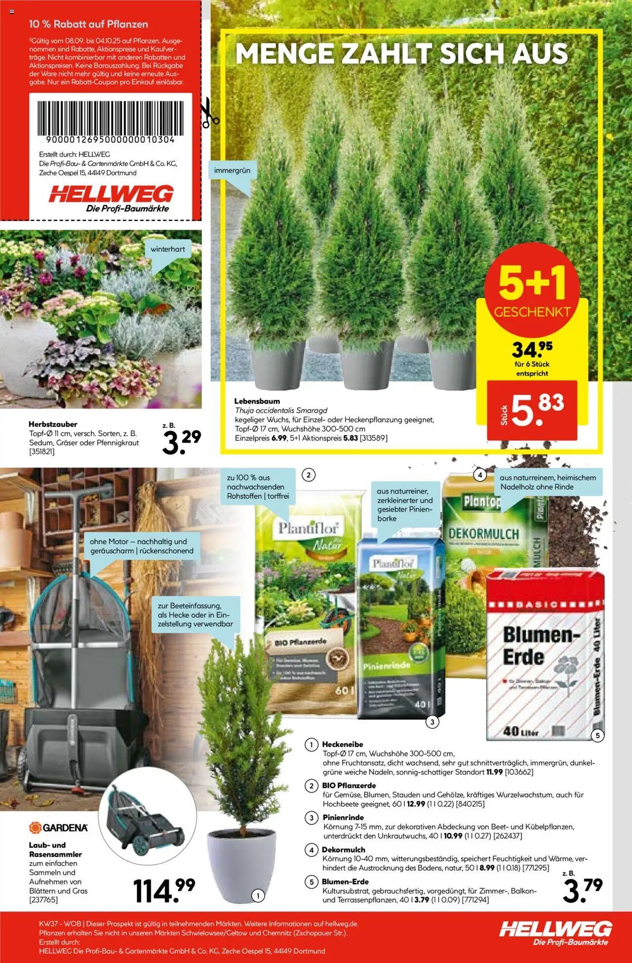 Hellweg Prospekt (2025-09-08 - 2025-10-30) | 21
