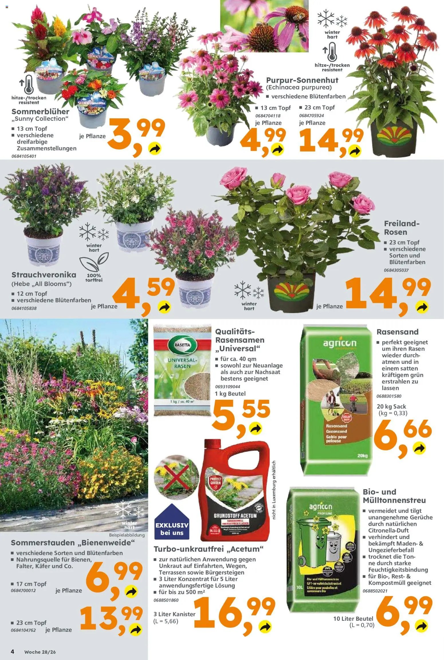 Globus Baumarkt Prospekt