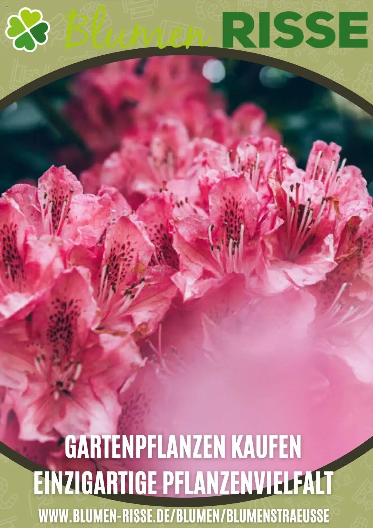 Blumen Risse Prospekt 	 (2025-09-03 - 2025-10-03) | 1