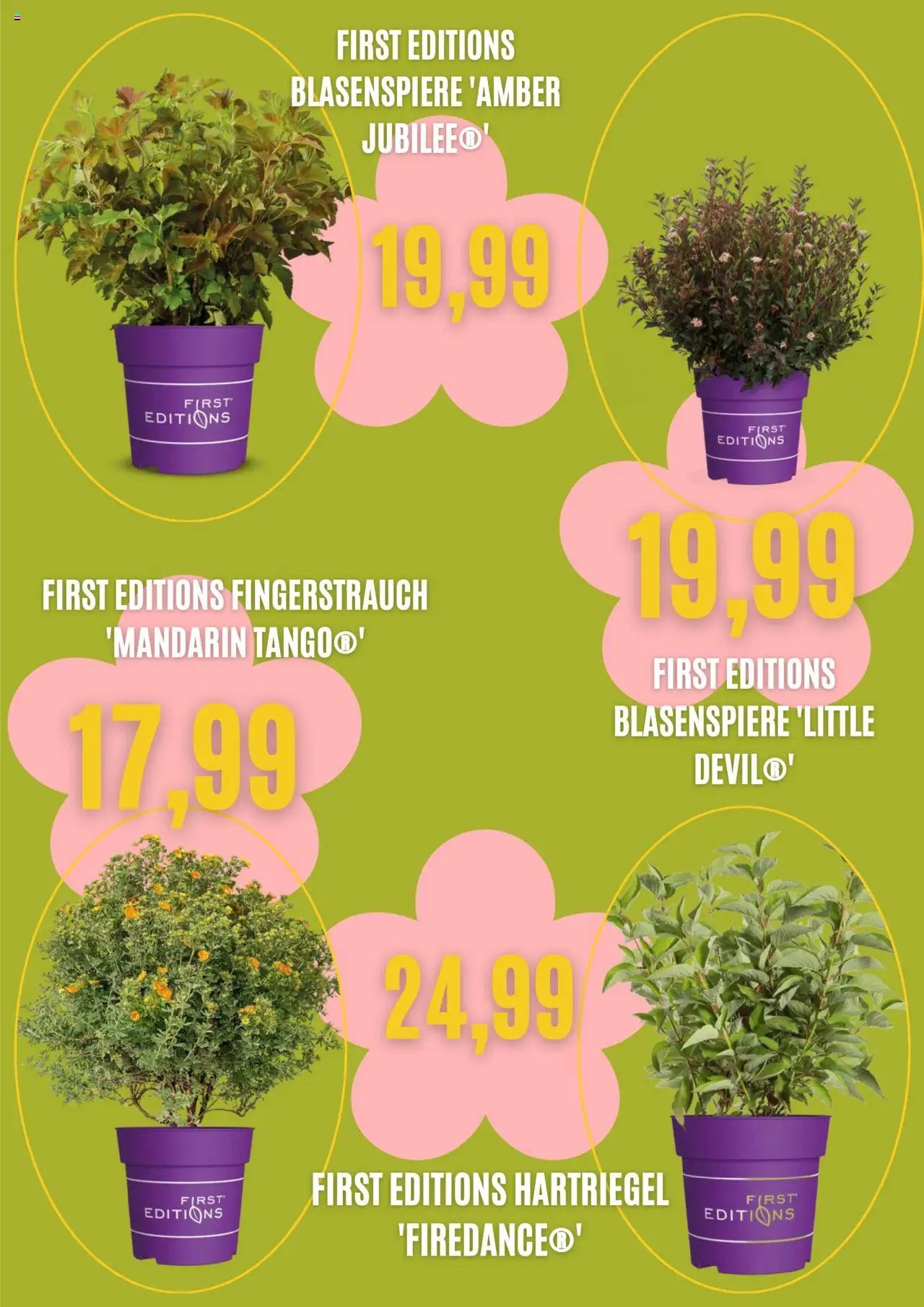 Blumen Risse Prospekt 	 (2025-09-03 - 2025-10-03) | 3
