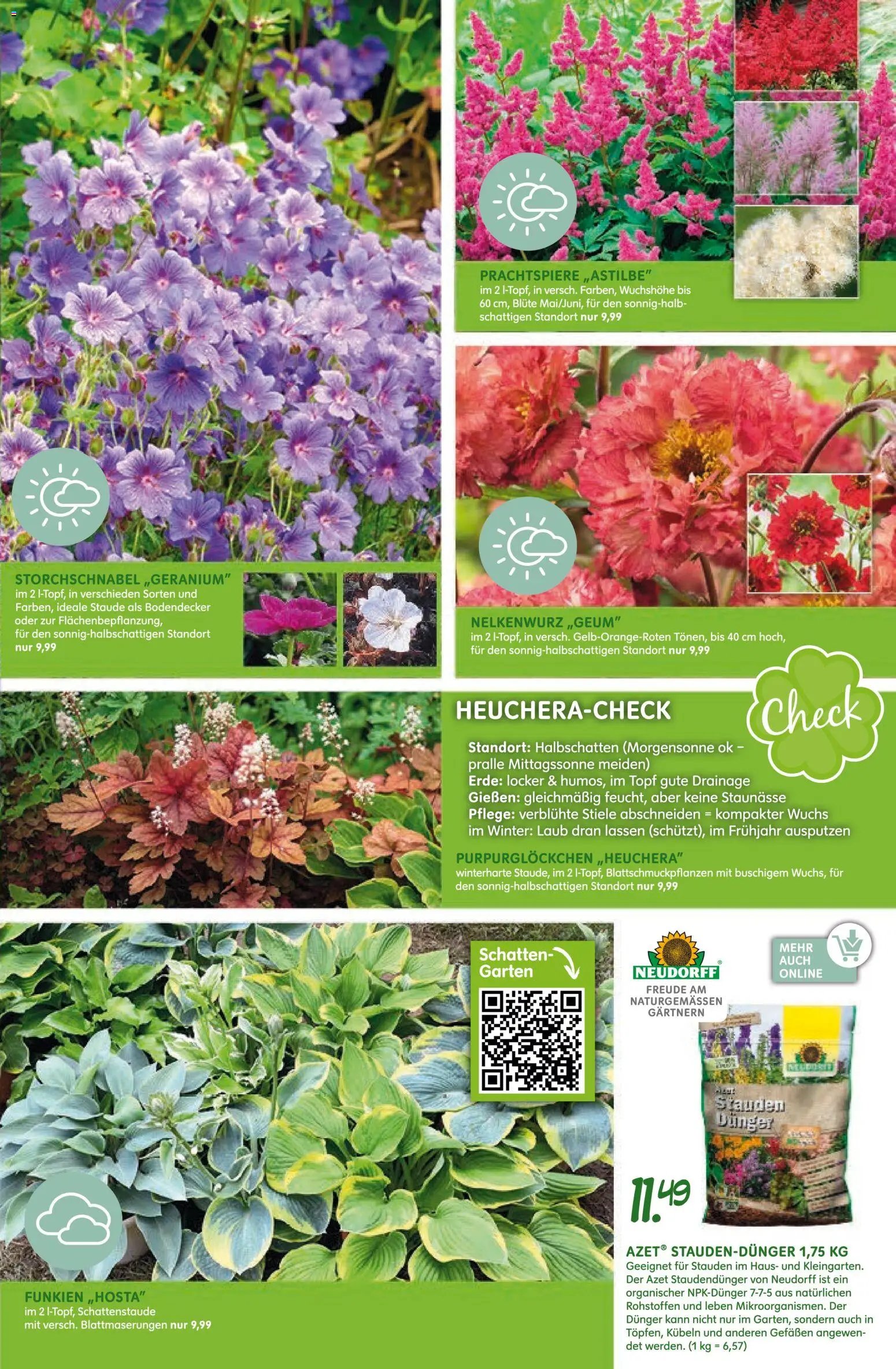 Blumen Risse Prospekt 	 (2026-04-16 - 2026-04-26)