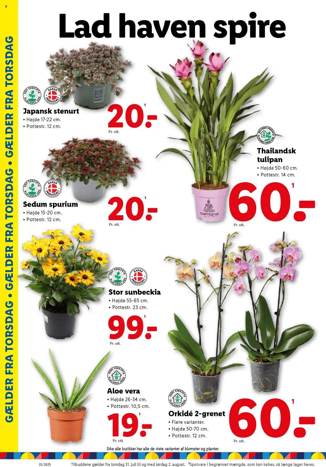 Lidl - Tilbudsavis (2025-07-27 - 2025-08-02)